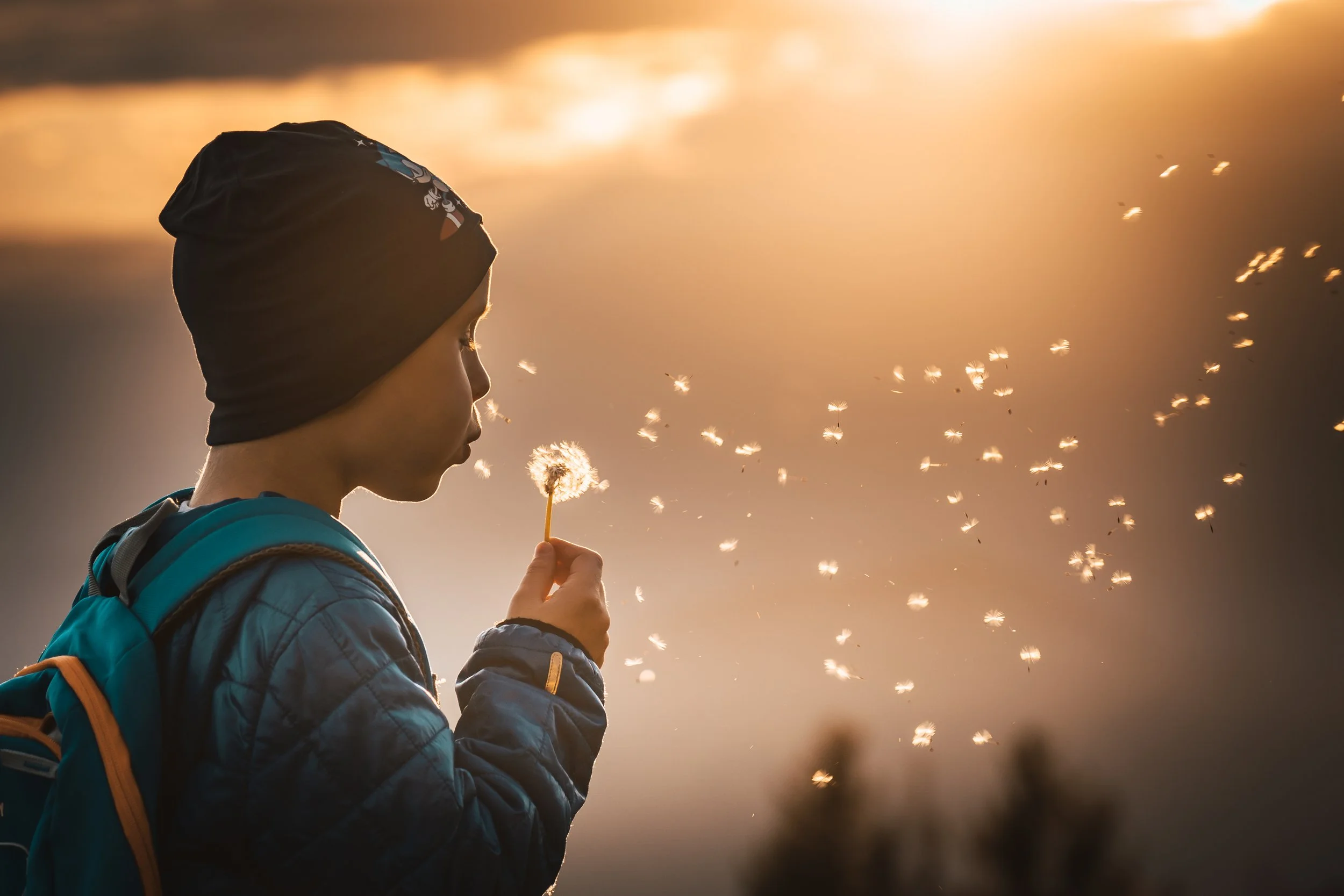 Child in a black hat and blue jacket holding a dandelion puff, blowing on it, with a sunset or sunrise background.