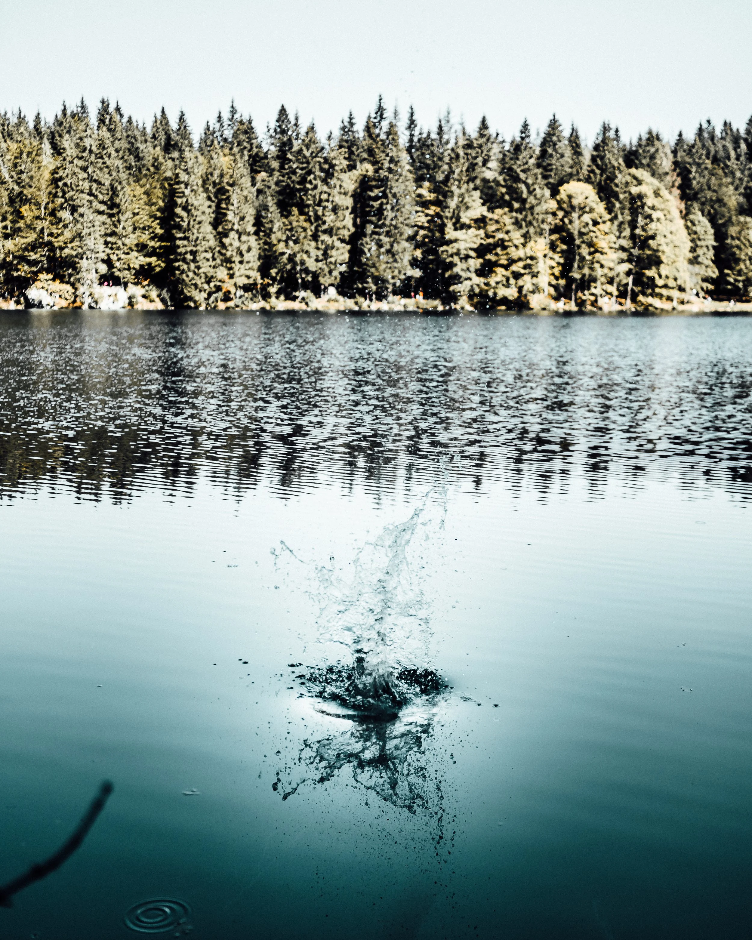A lake with trees in the background, and a splash on the water's surface in the foreground.