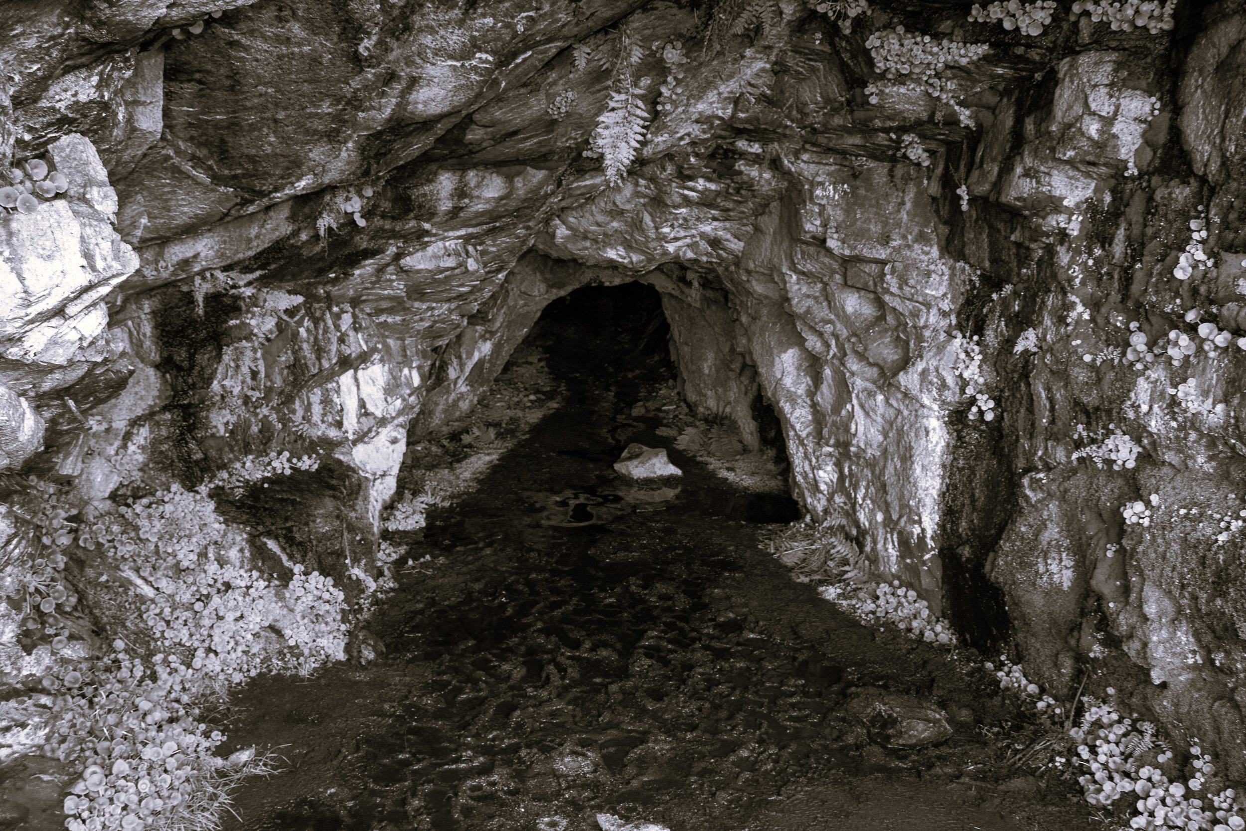 Episode 05. Cueva Valiente: Bandoleers and Beastly Magic