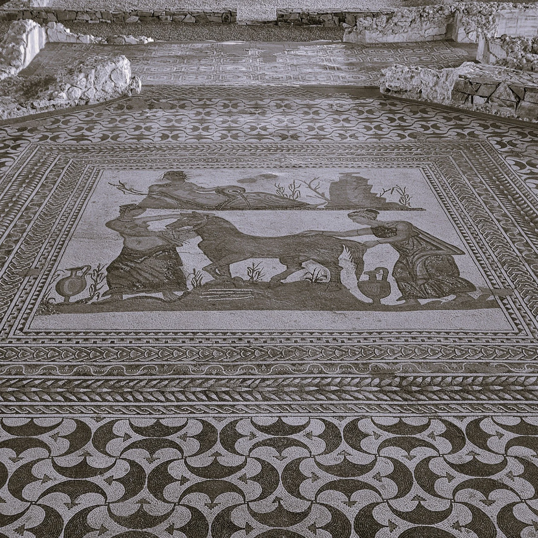 Episode 11. Pegasus: Chopped Wings