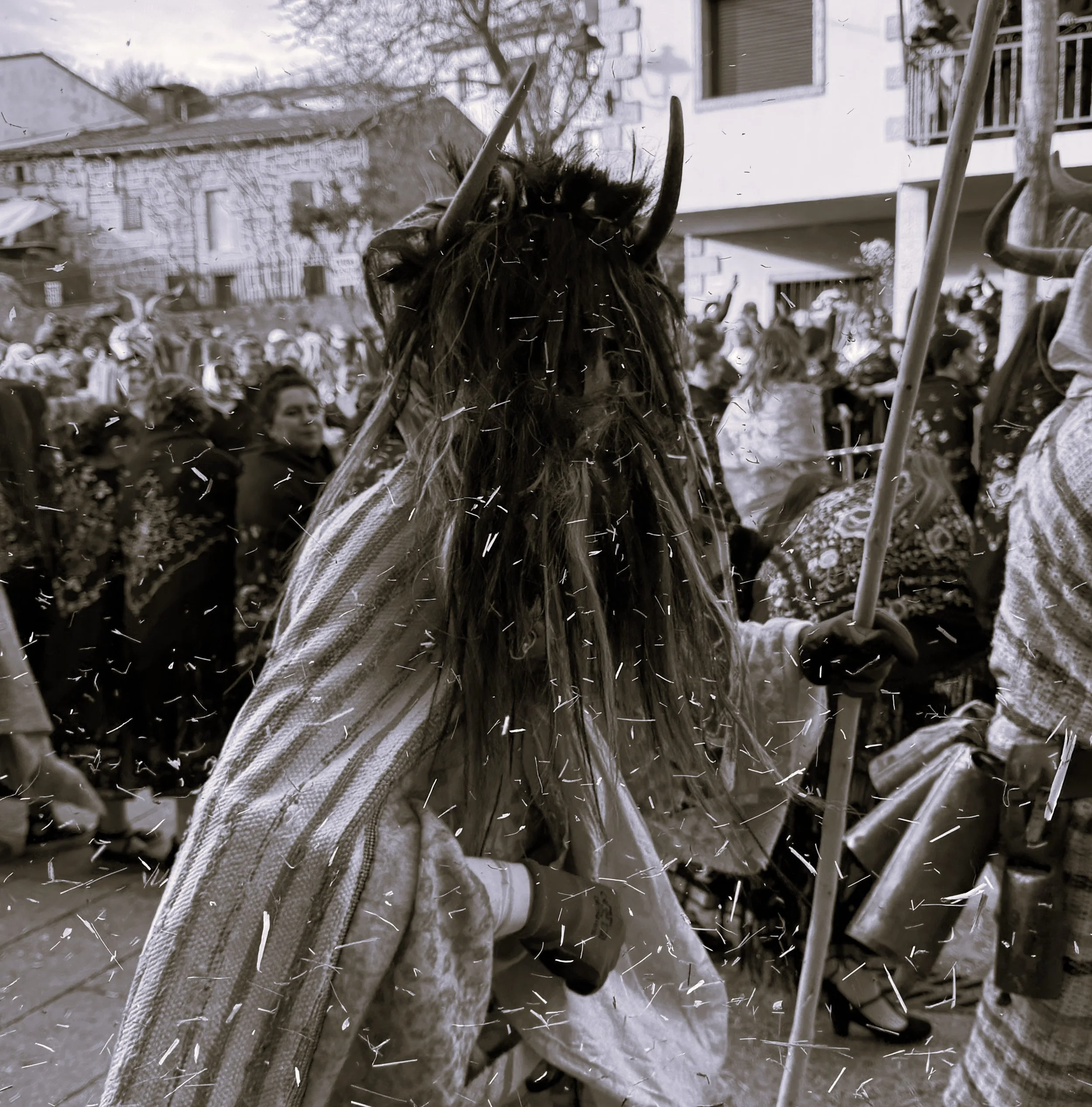 Episode 15. Los Cucurrumachos: Let Me Belong