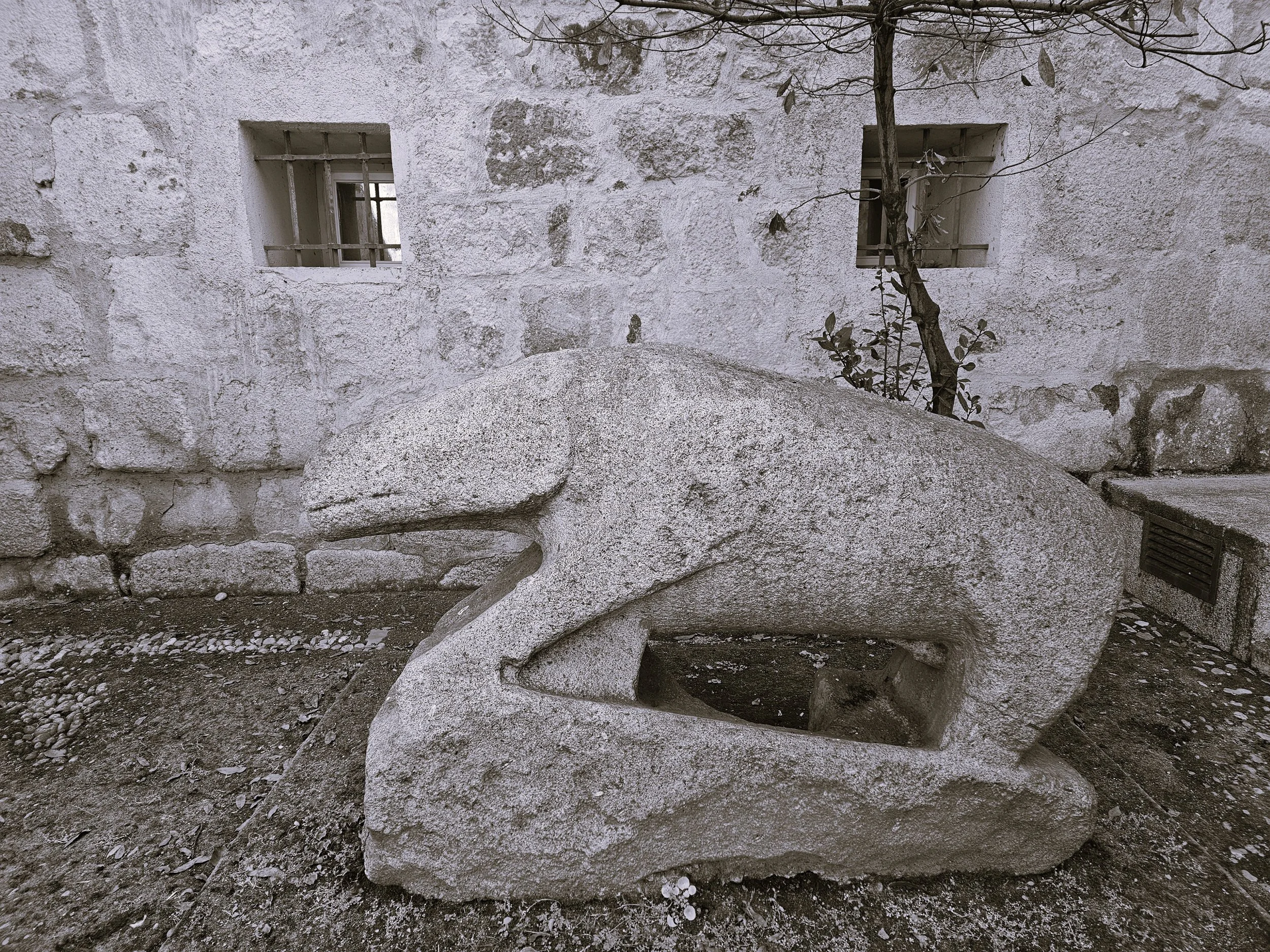 Episode 16. Los Verracos: Shrooms and Toros