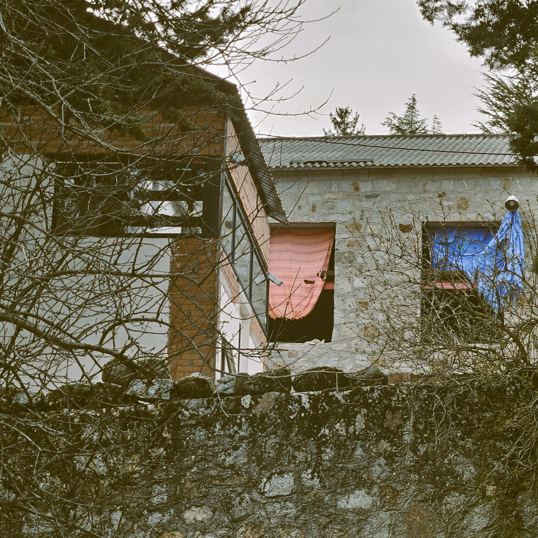20260304_181323 (2).JPG