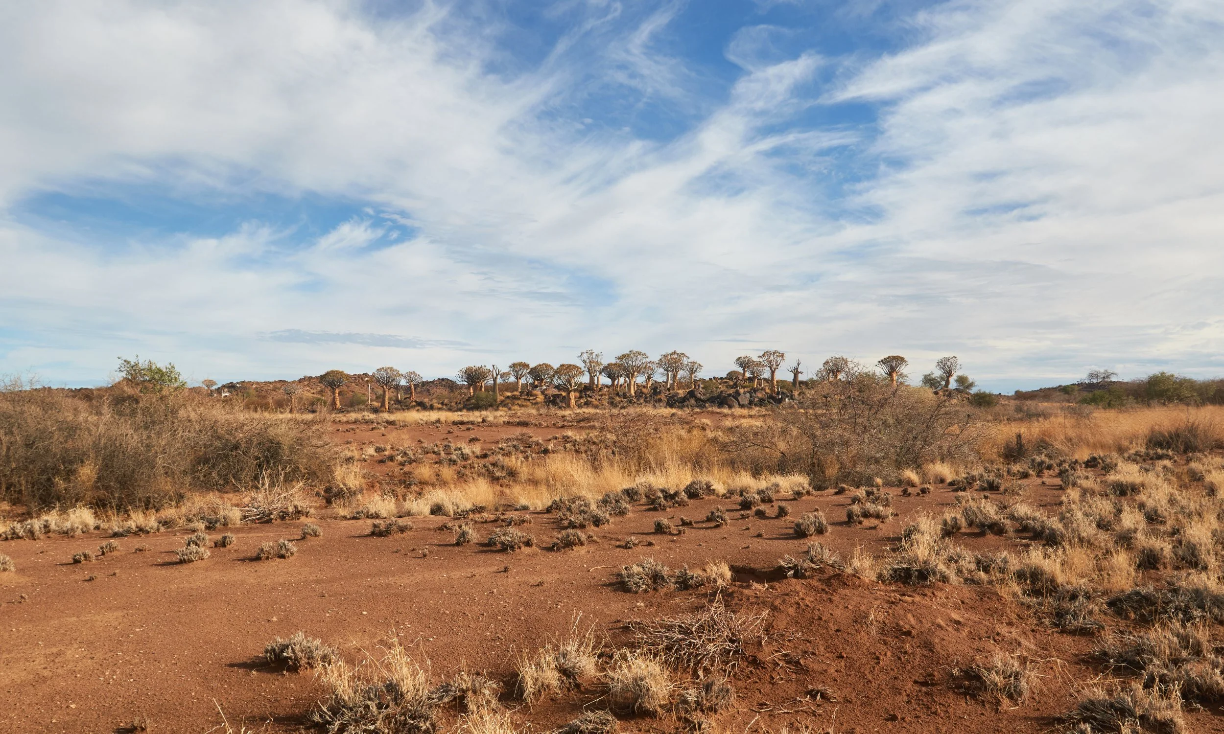 Sustainability at Oilfield International Services | Eco Partnerships ...