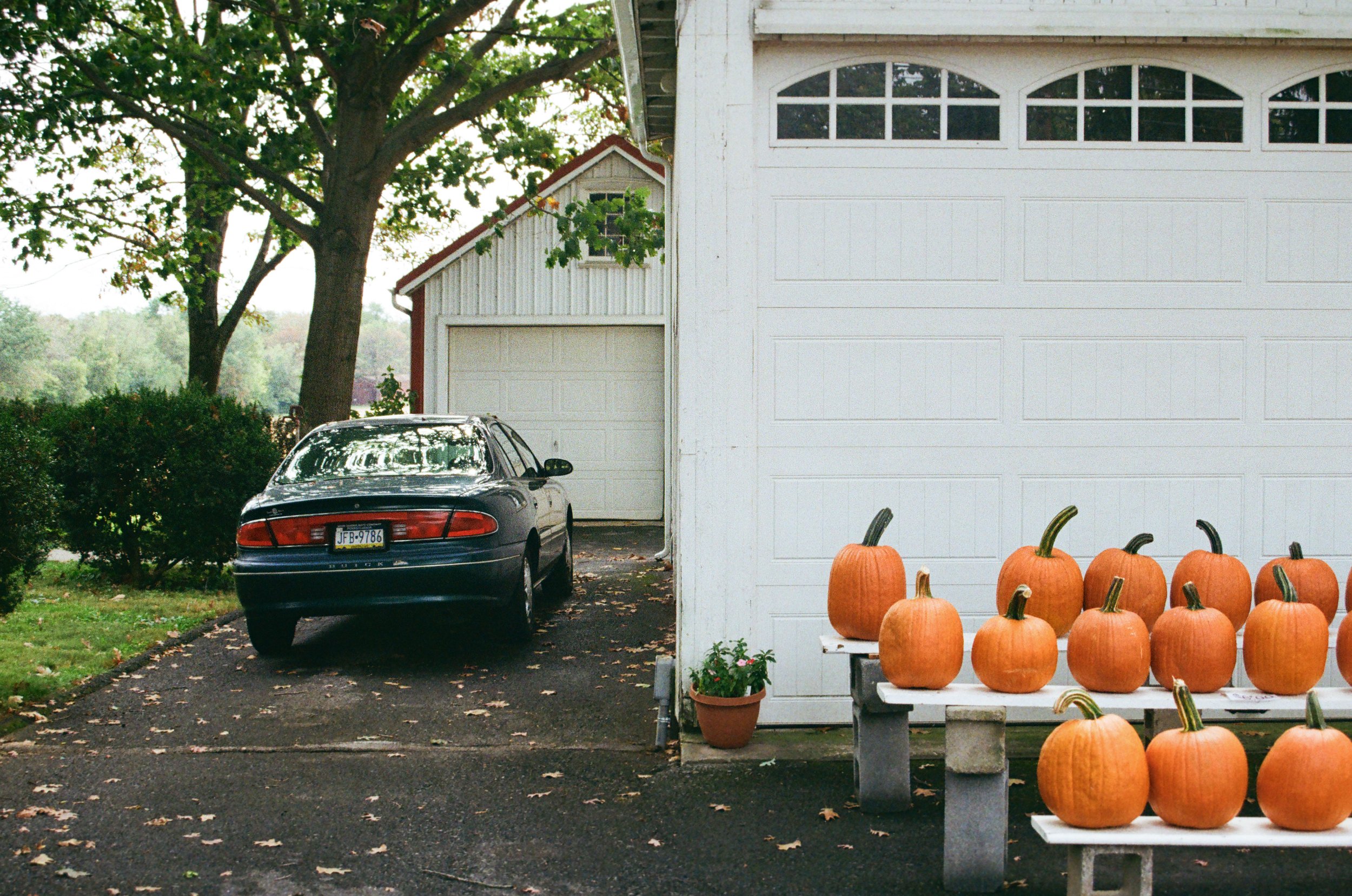 Pumpkins Buicks.jpg