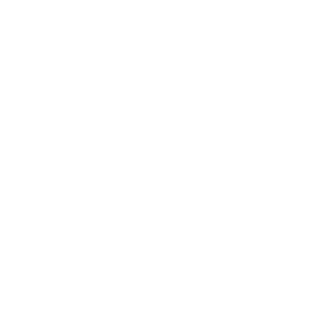 Logo for Four Winds Casino South Bend with a stylized wind or wave design.