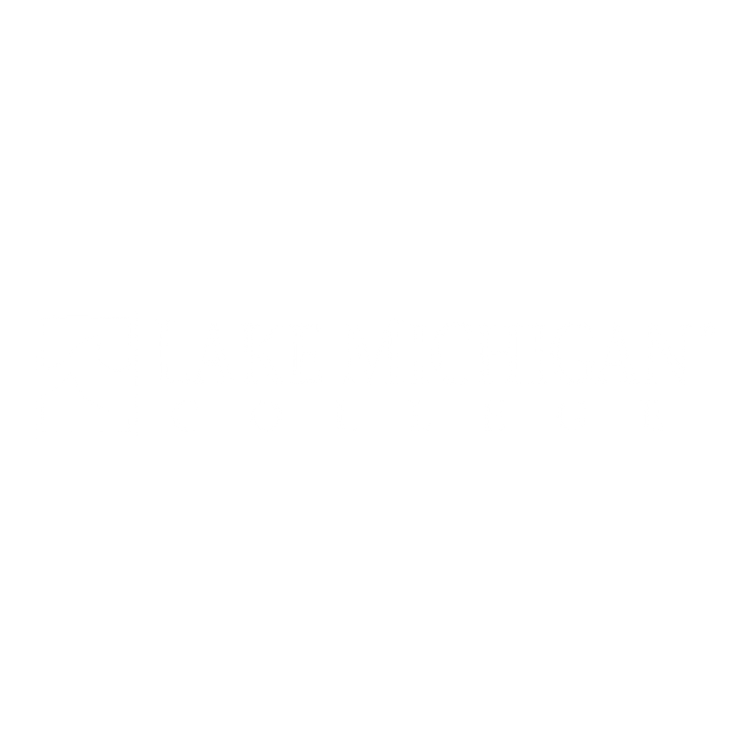 Logo of Lake Michigan College featuring a stylized wave and the college name in bold letters.