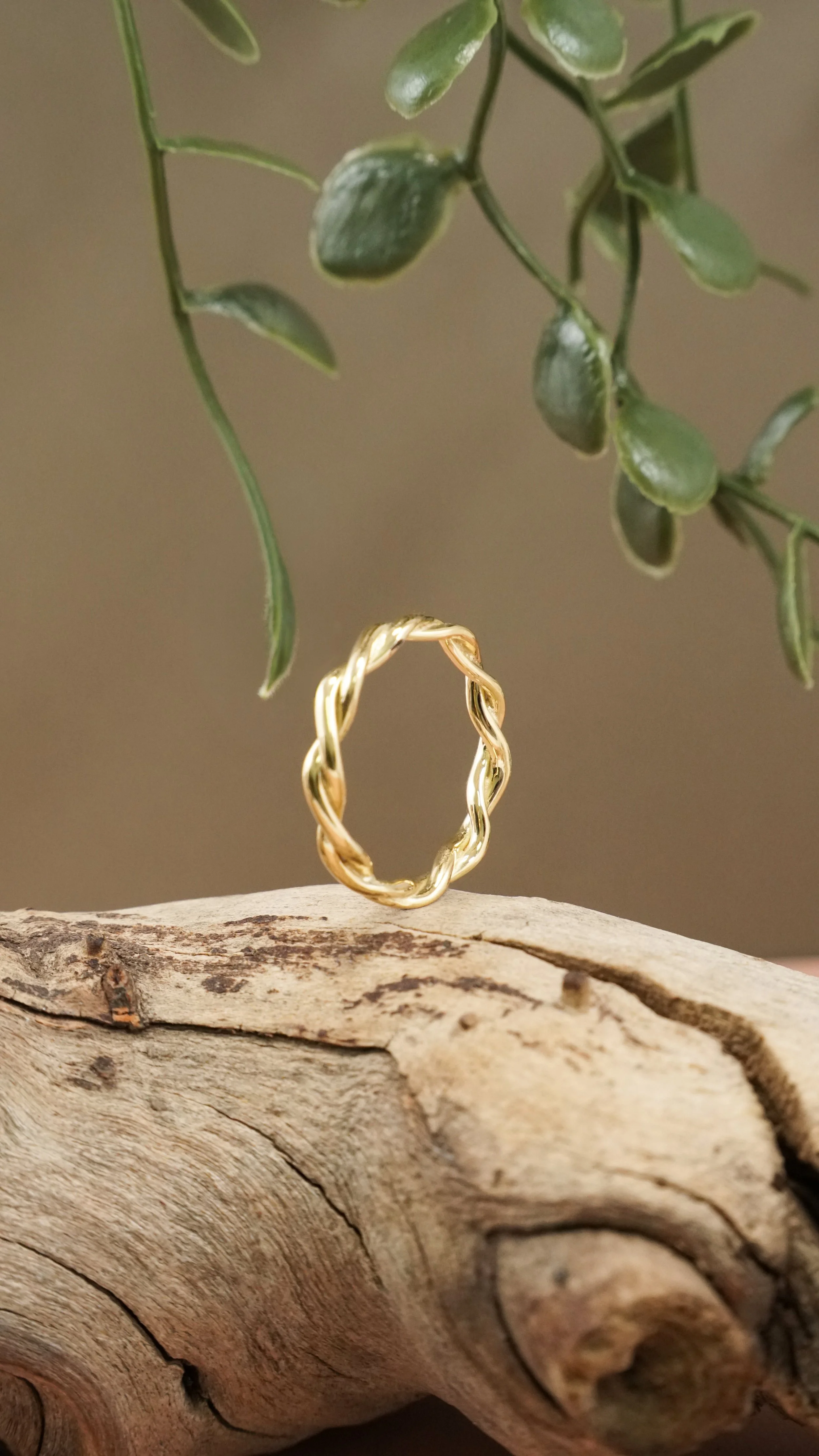 ring_gelbgold_gedreht.JPG