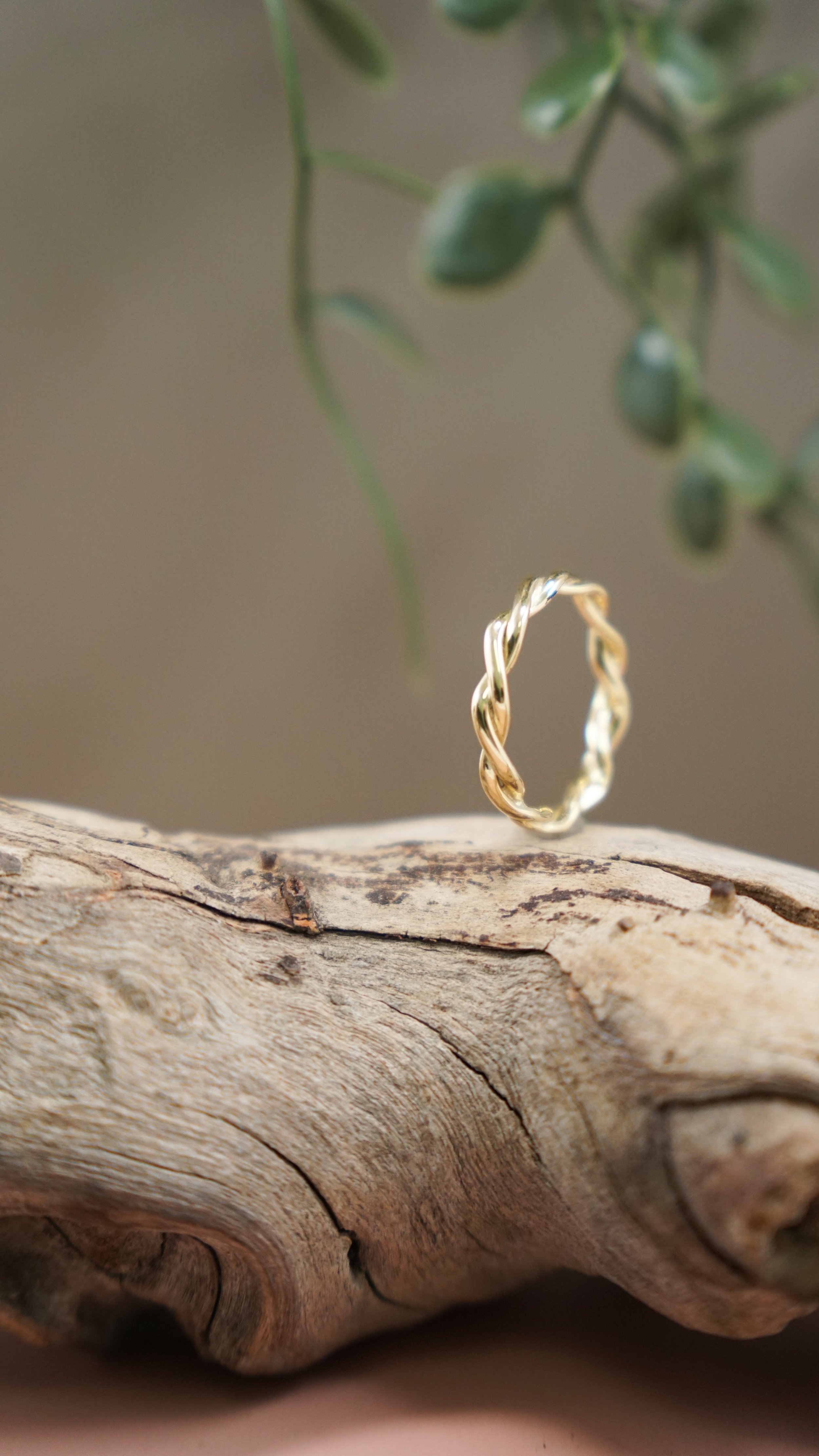 ring_gelbgold_gedreht.JPG