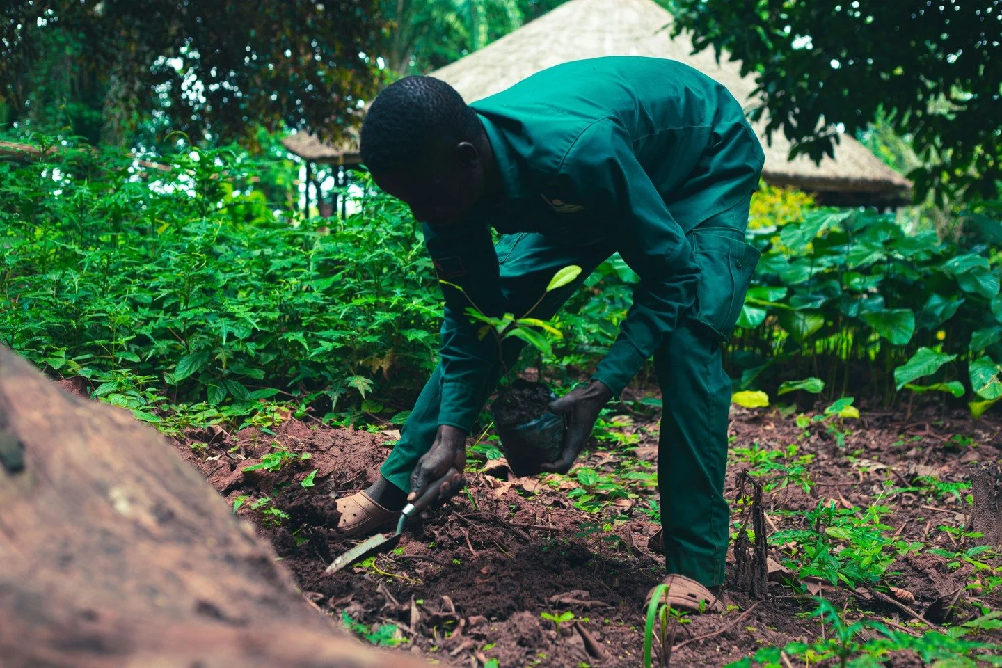 π± S.M.A.R.T Agriculture = sustainable farming + food security!
We’re empowering families with modern techniques to grow, earn, and thrive.
Support greener futures via Zeffy or Paypalπ§πΏ
π https://www.zeffy.com/donation-form/smart-agriculture