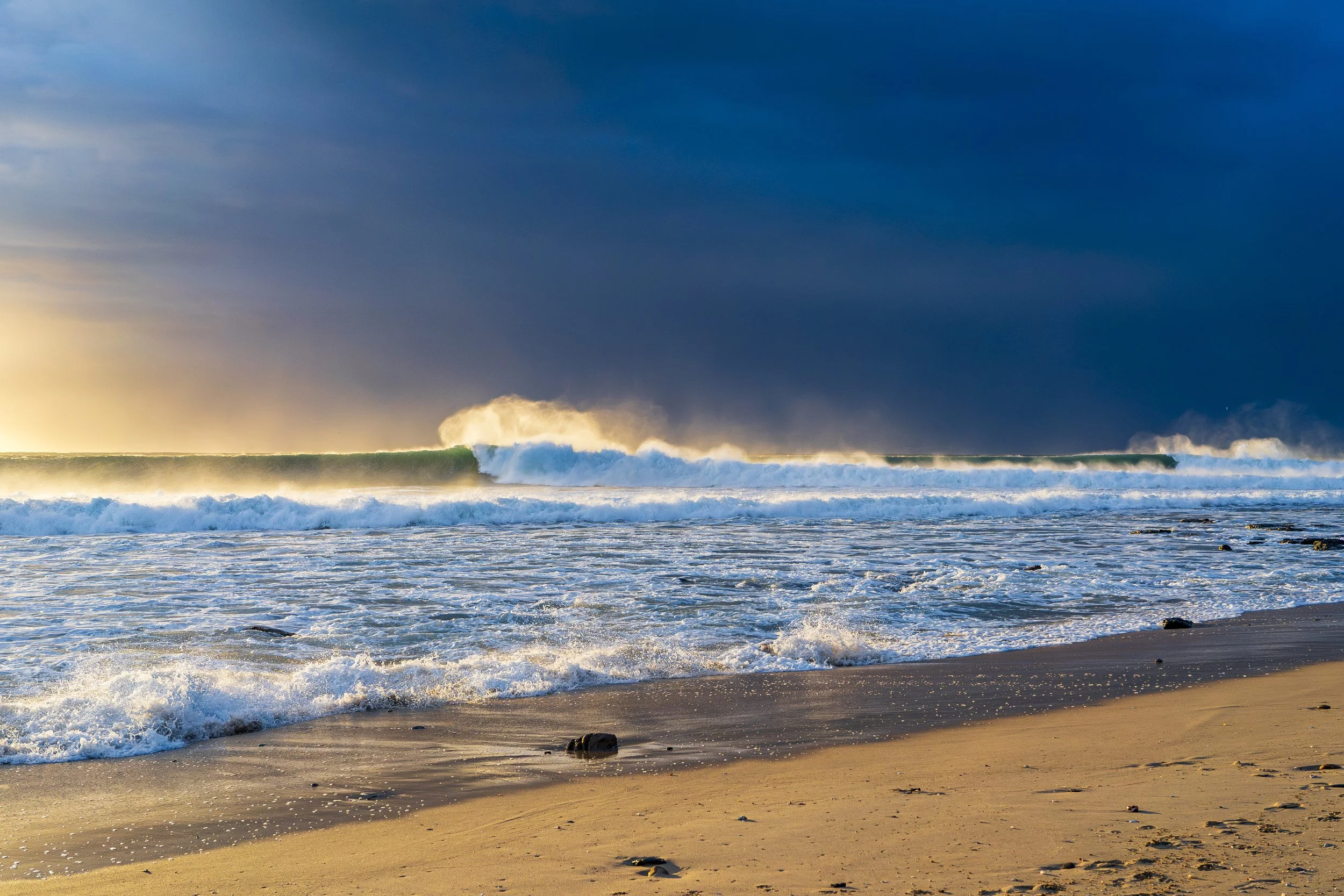 Ocean Roar