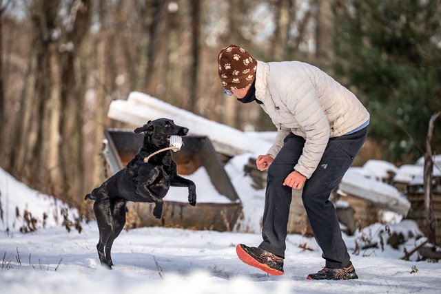 Sunday Engagement - Working Spot (1 Dog)