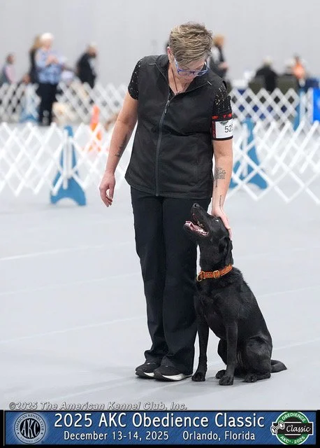 Saturday Heeling - Auditing Spot