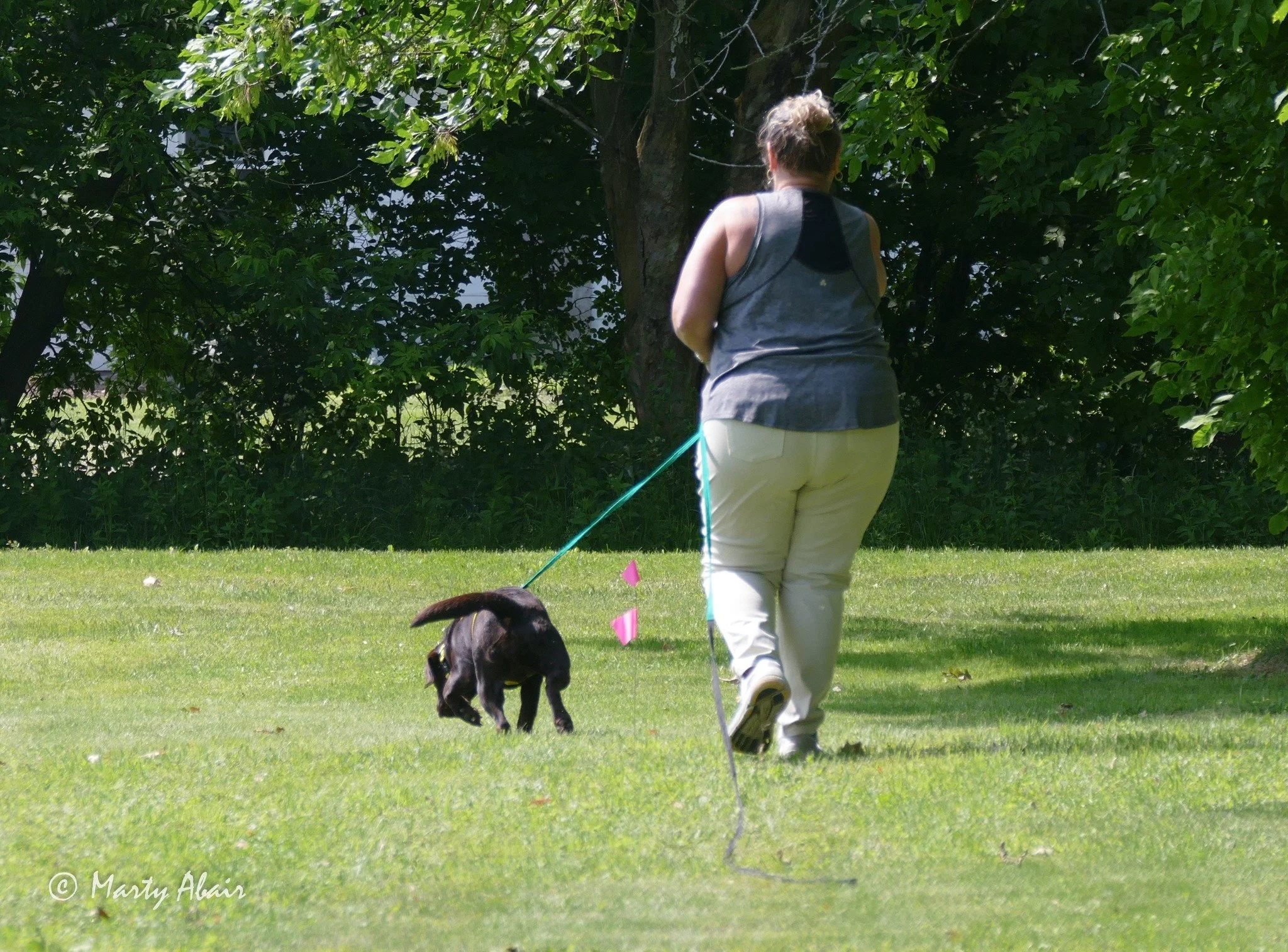 lynda tracking seminar.jpg