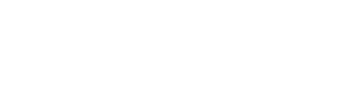 Mitch Shapiro (Copy)