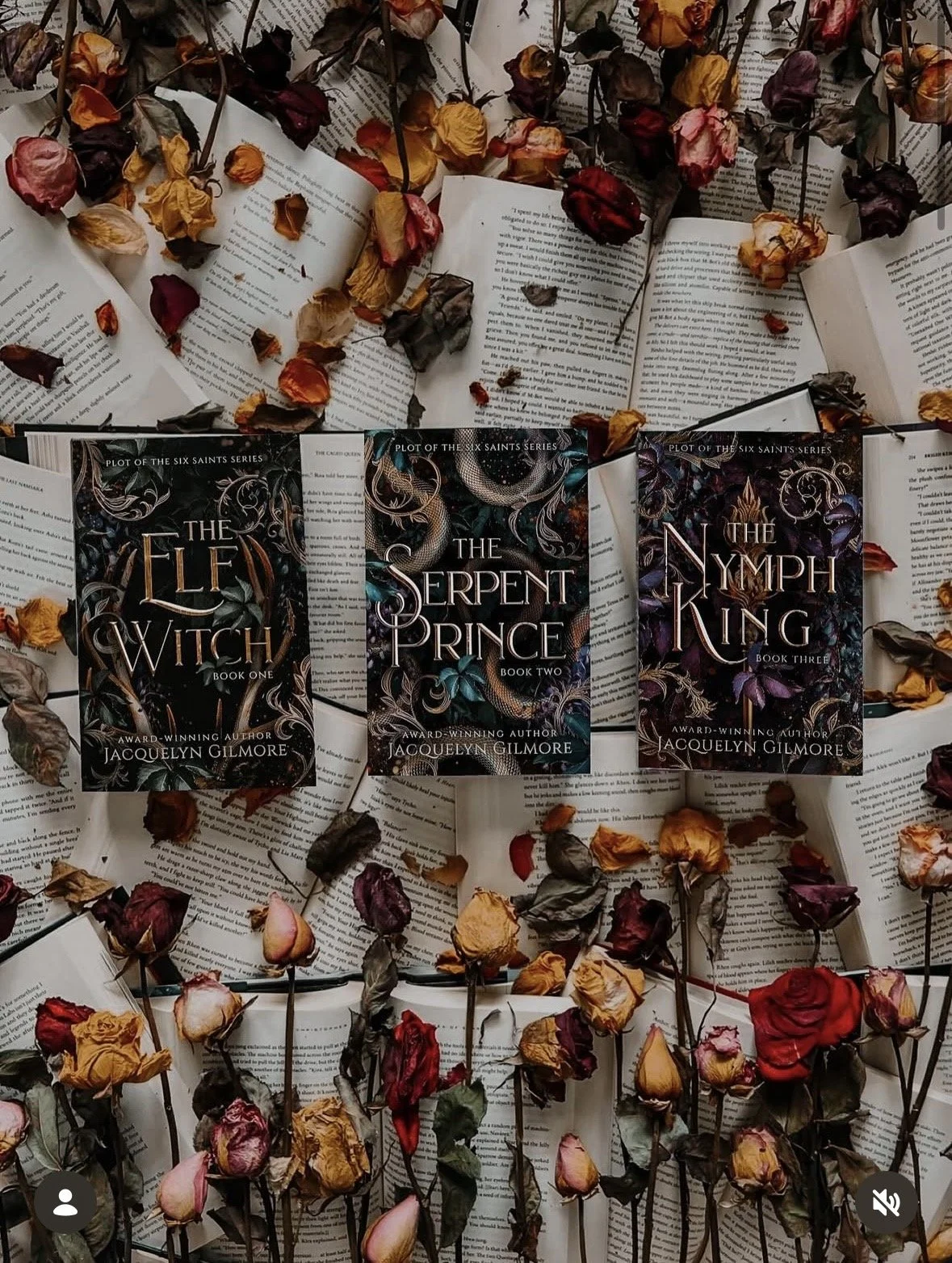 Three books from the 'Plot of the Six Saints Series' by Jacquelyn Gilmore, titled 'The Elf Witch,' 'The Serpent Prince,' and 'The Nymph King,' are arranged in a row on open books with dried rose petals scattered around and on top of the pages.
