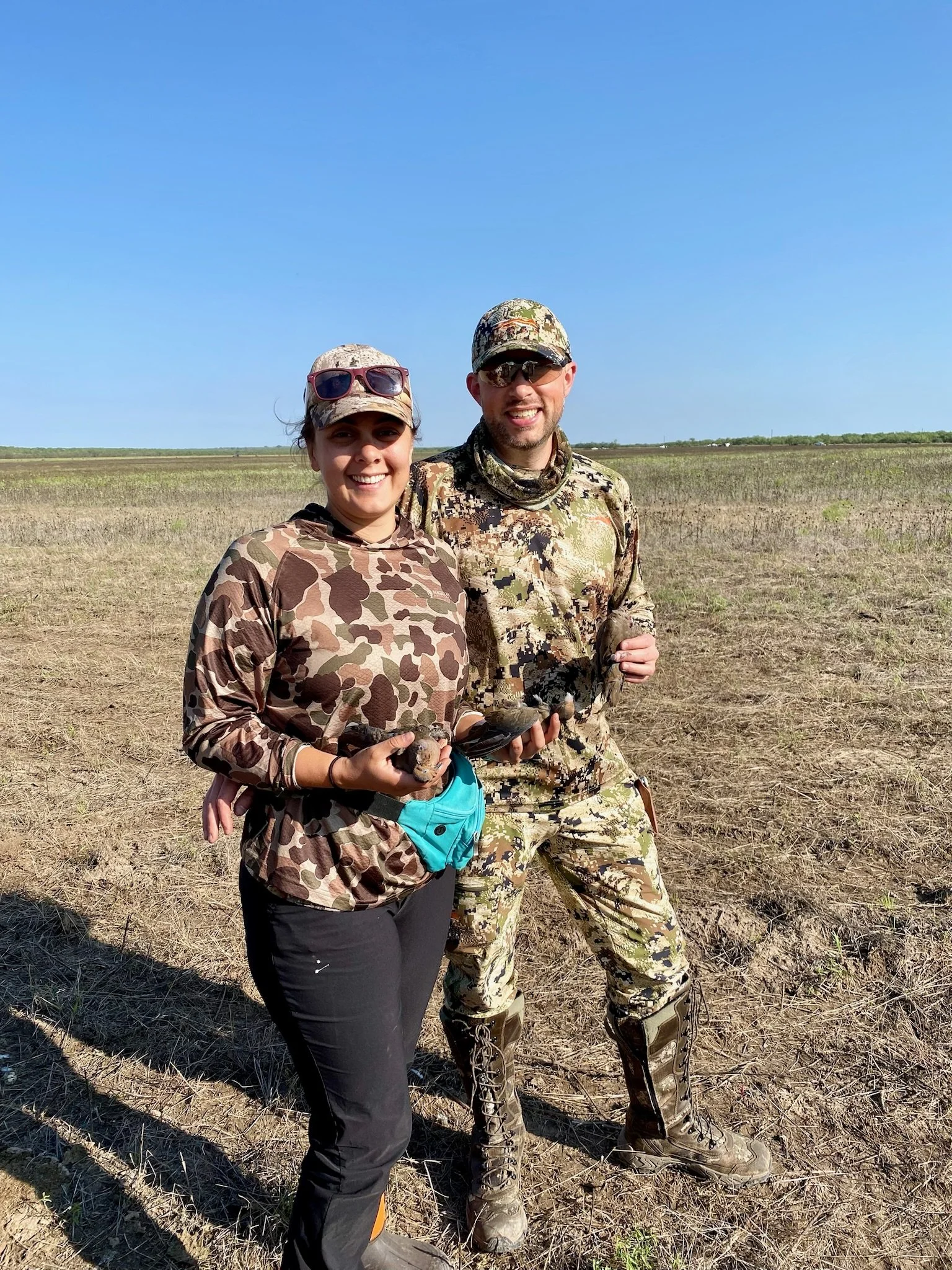 Dove Hunt TX 2024