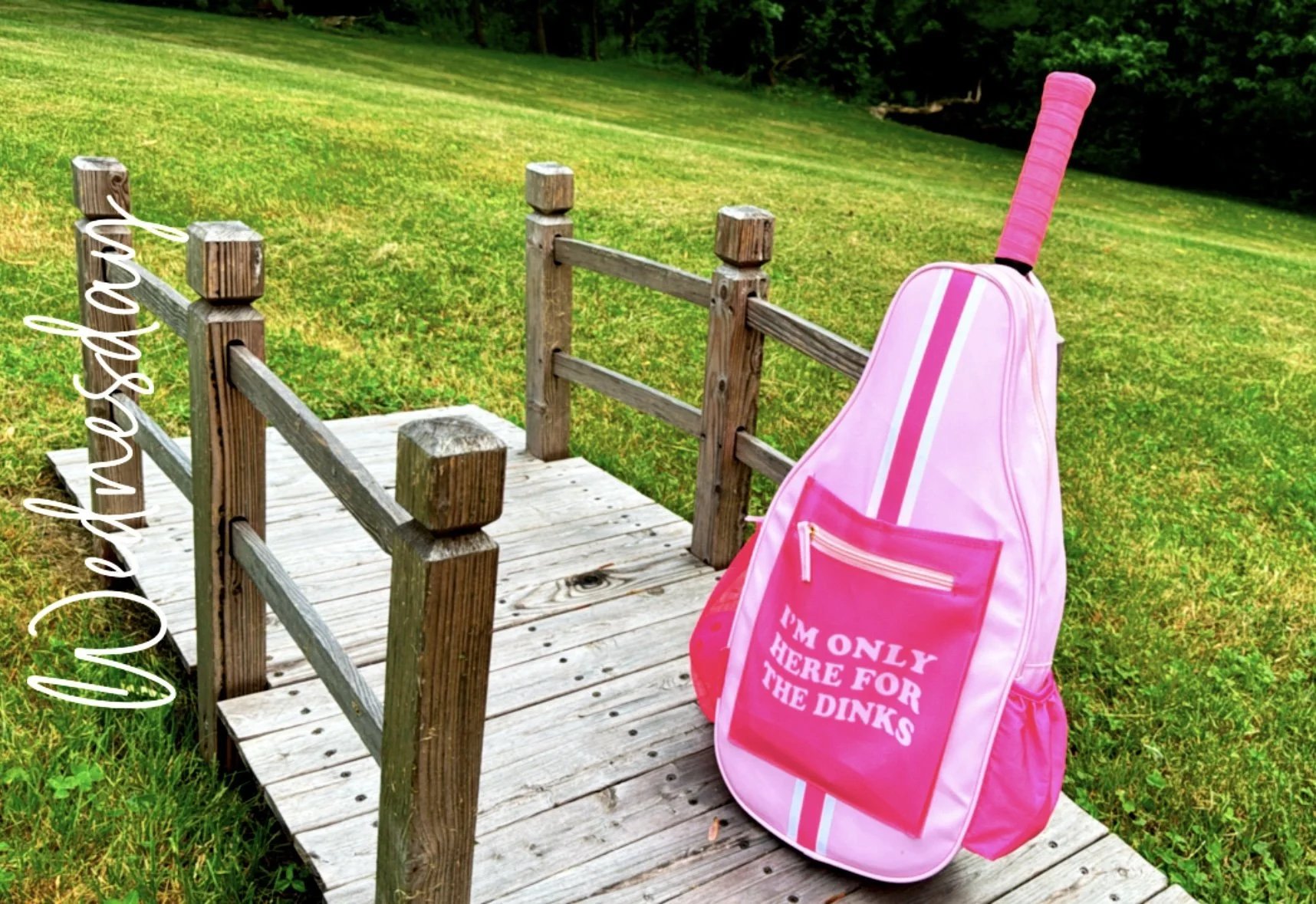A pink guitar case leaning against a small wooden bridge in a grassy field with trees in the background.
