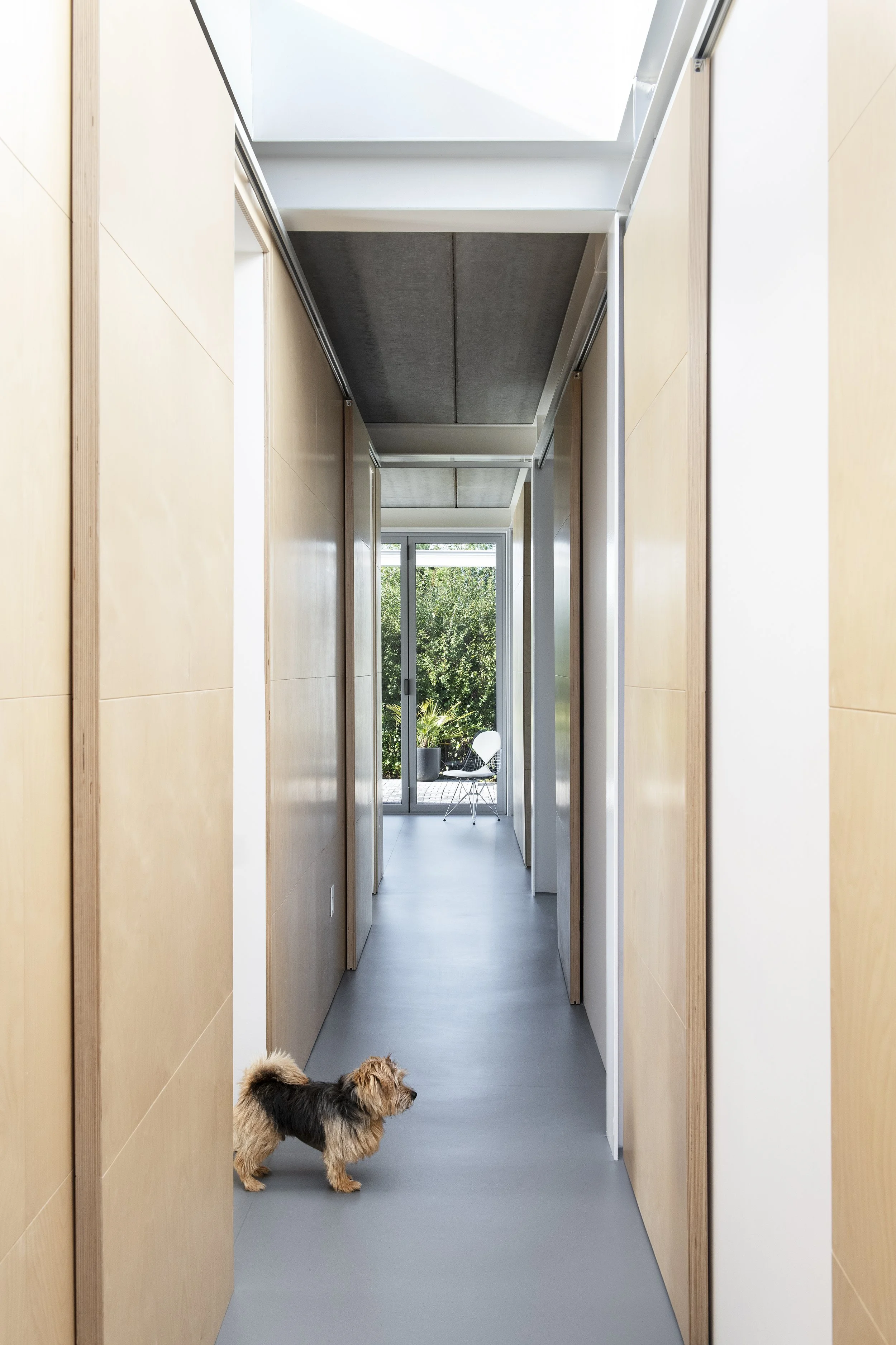 Doogal_7092-1 HR.jpg