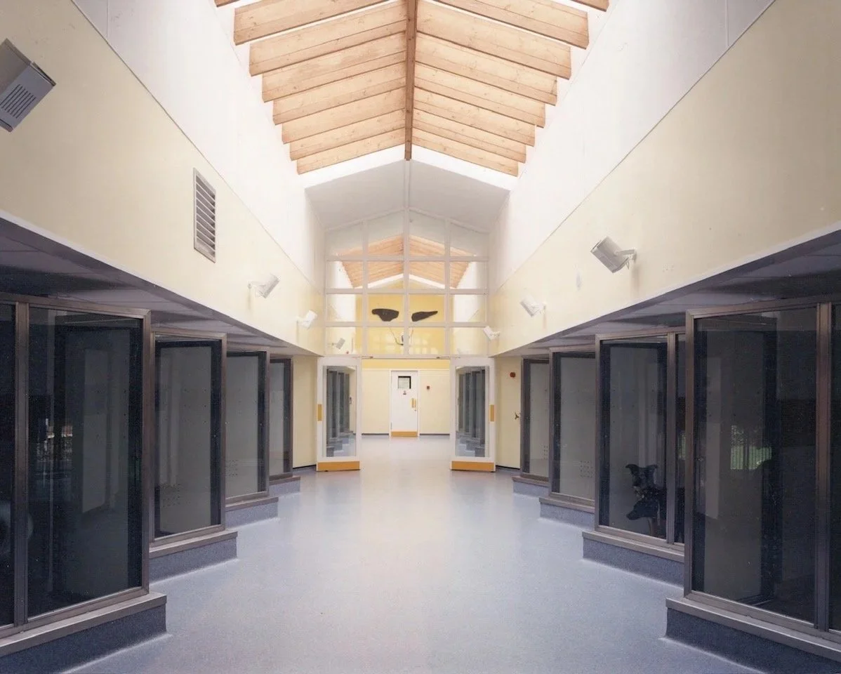Empty indoor hallway with glass cases lining both sides, a high wooden ceiling, and a large windowed wall at the end.