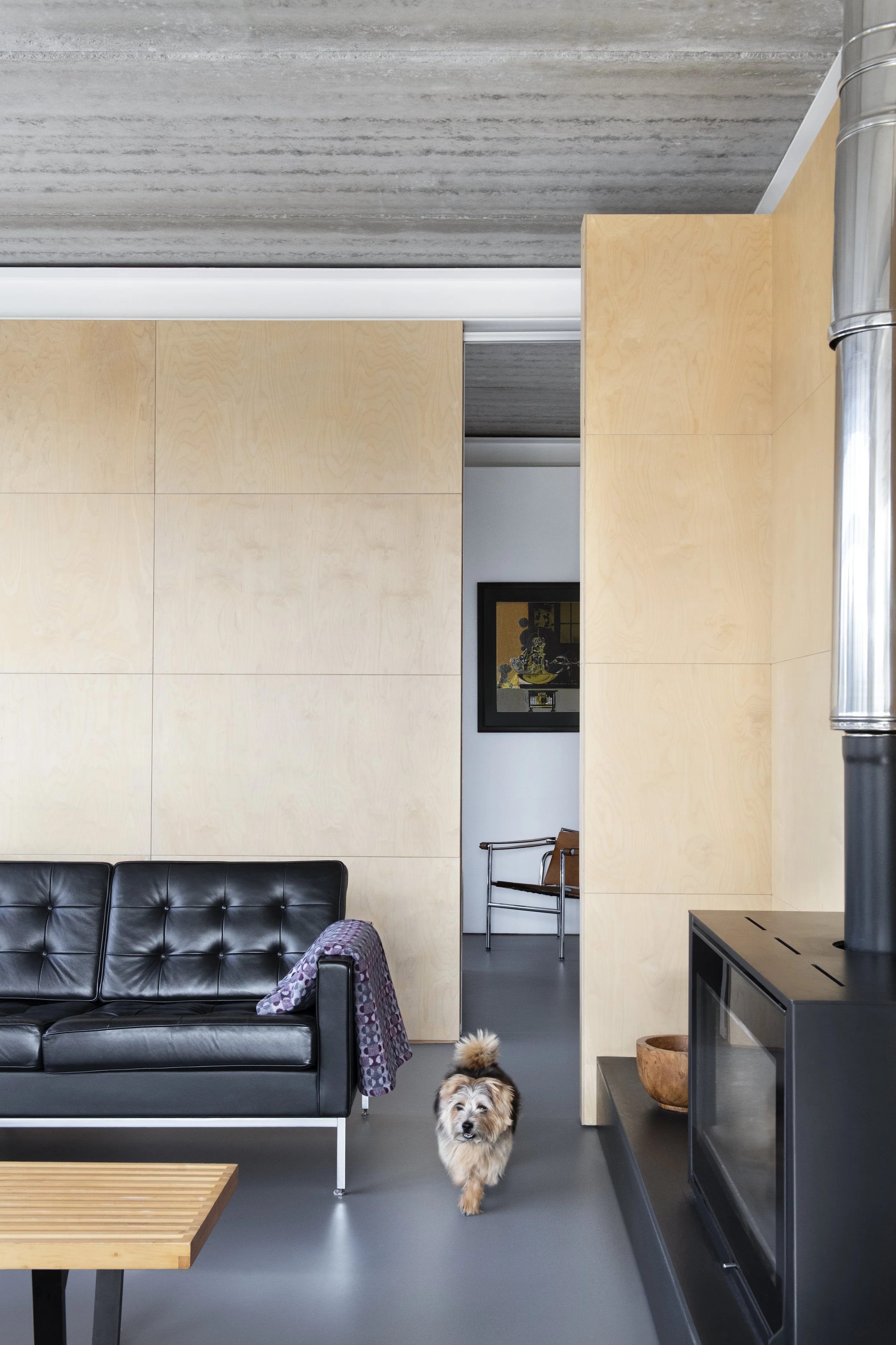 Doogal_7190-1 HR.jpg