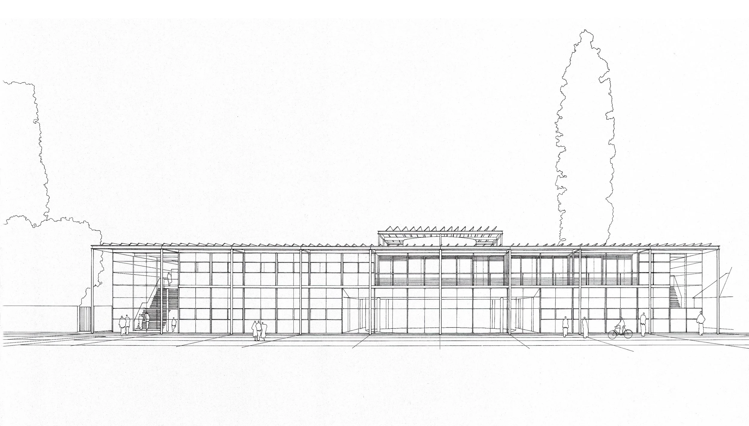 01 Divinity (server's conflicted copy 2016-02-01).jpg