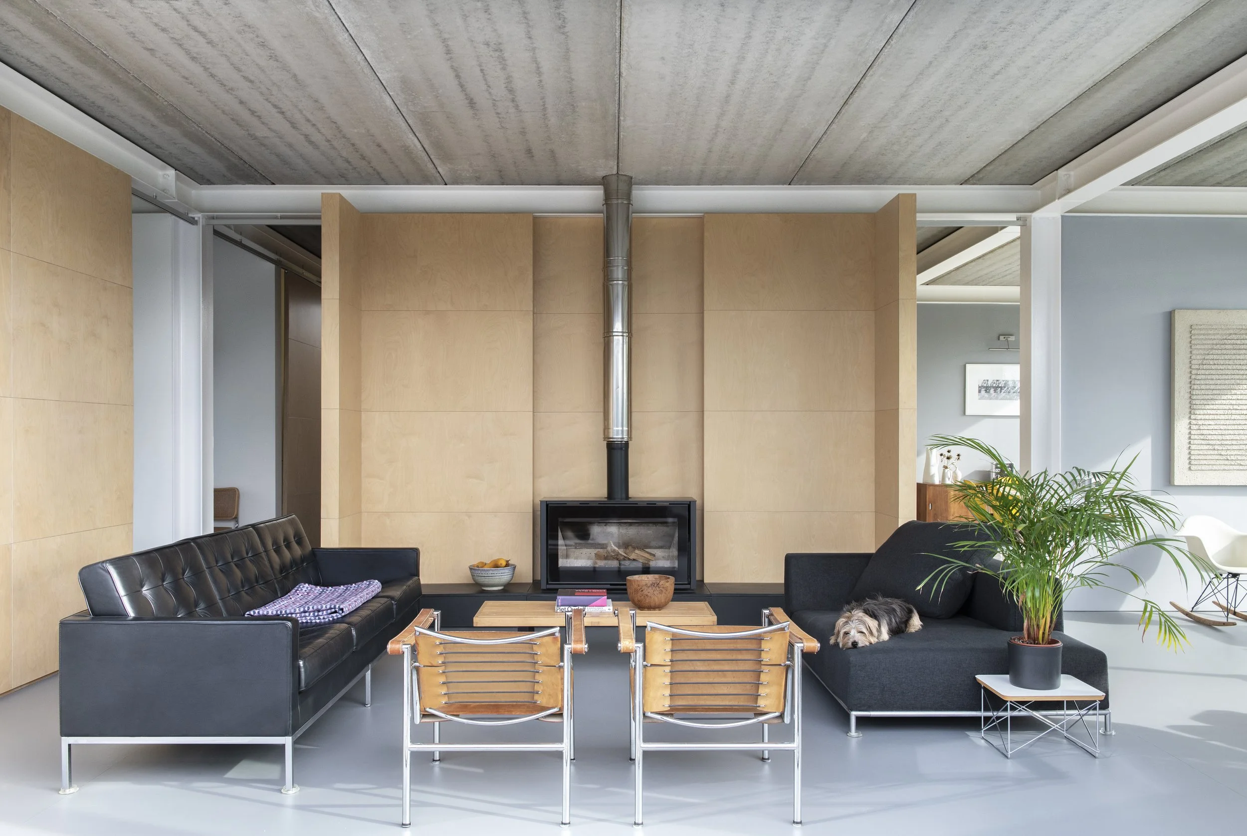 Doogal_7265-2 HR.jpg