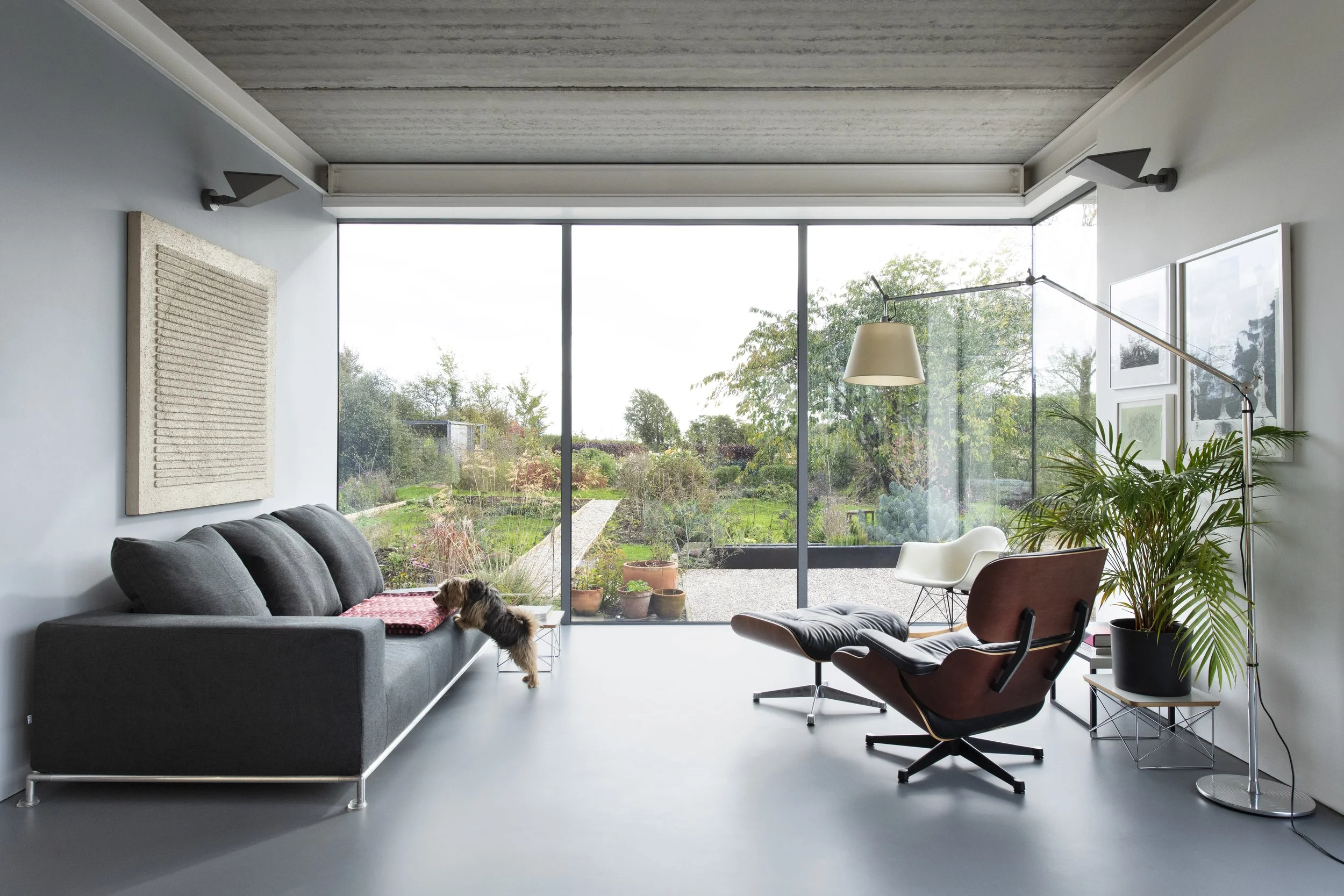 Doogal_7332-1 HR.jpg