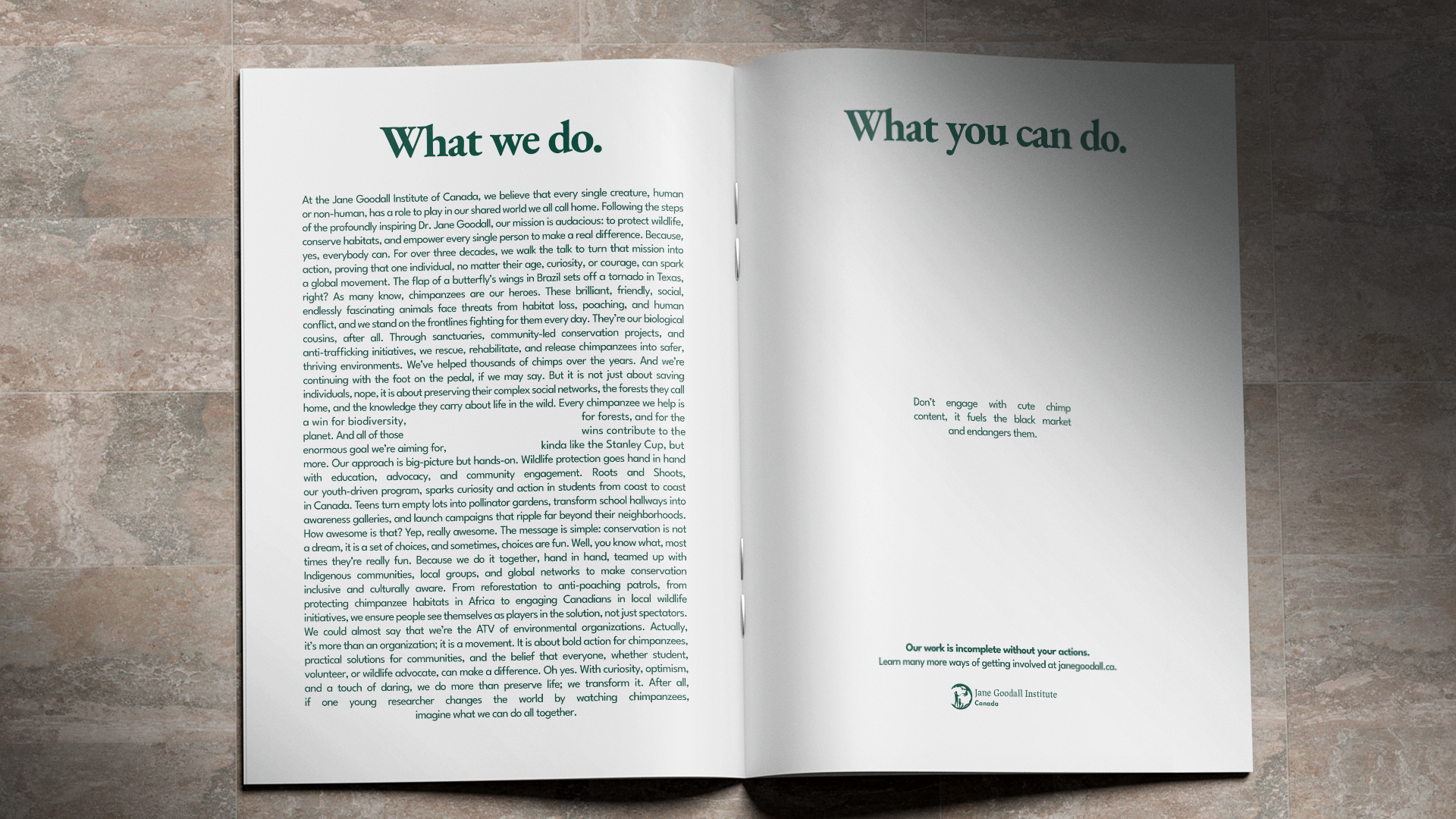 Brochure ouverte de l'Institut Jane Goodall avec deux pages. La page de gauche présente des informations détaillées sur leurs activités de protection de la faune et de la conservation, tandis que la page de droite évoque ce que les individus peuvent faire pour aider, accompagnée d'une note pour ne pas nourrir les chimpanzés avec du contenu mignon, car cela alimente le commerce noir.