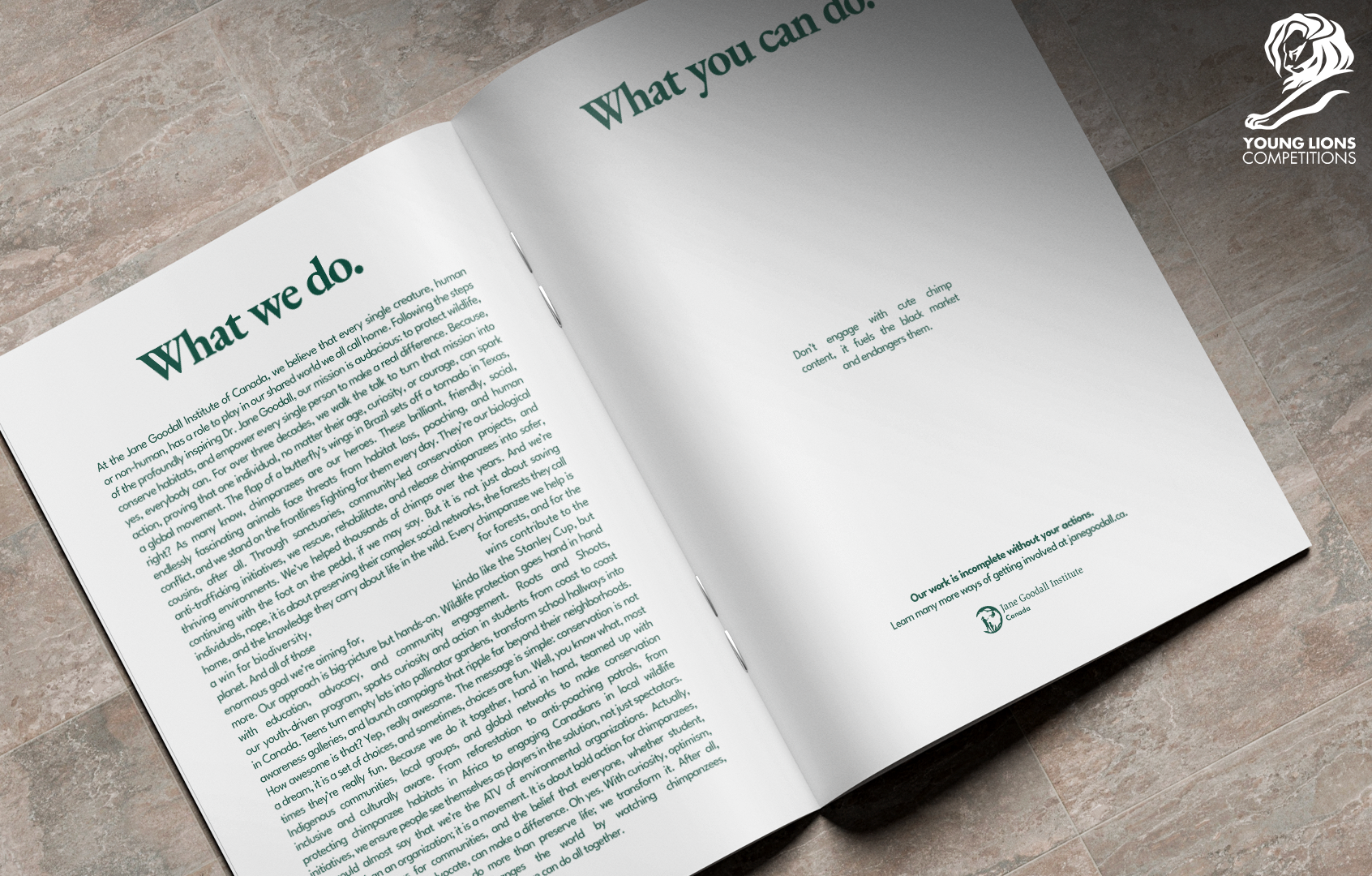 Livre ouvert avec le titre 'What we do.' en anglais, contenant des textes sur la protection de l'environnement, la conservation et l'engagement communautaire. Logo de Young Lions Competitions en haut à droite.