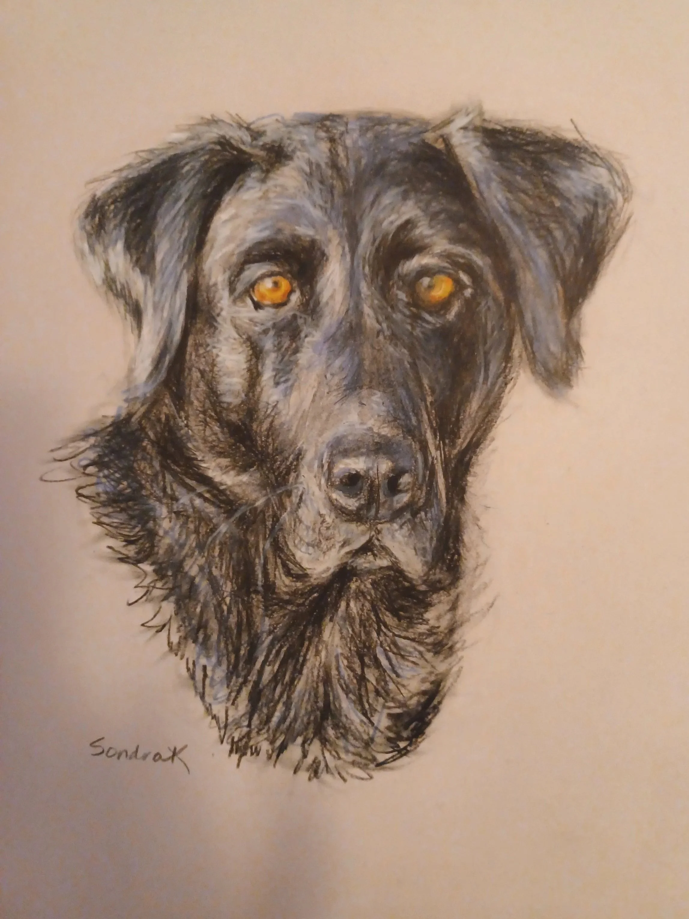 Colored pencil on gray paper