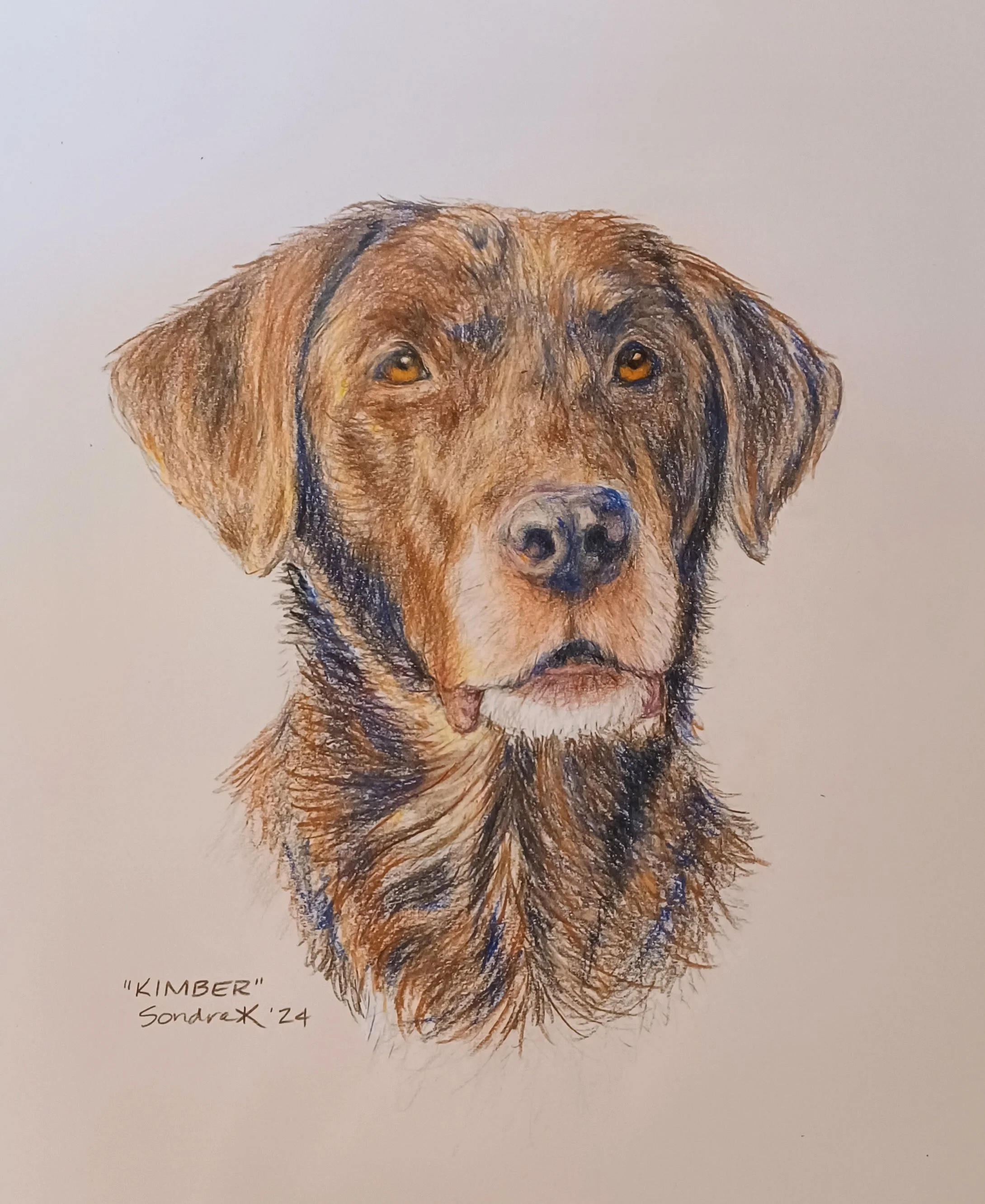 Colored pencil on brown paper