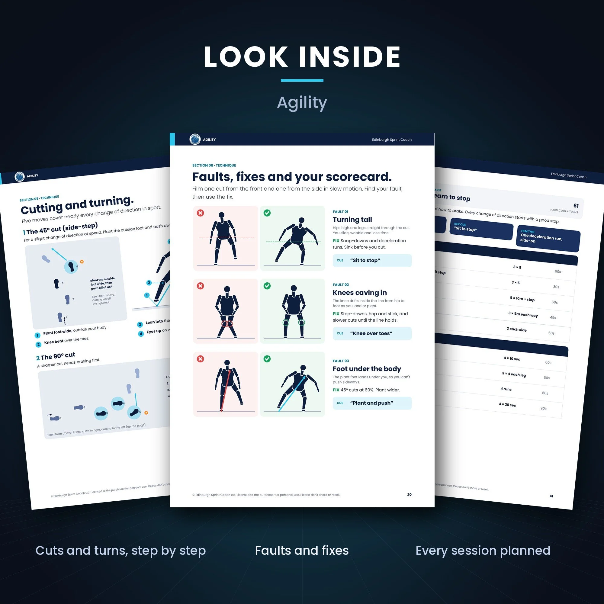 agility-program-2-inside.jpg