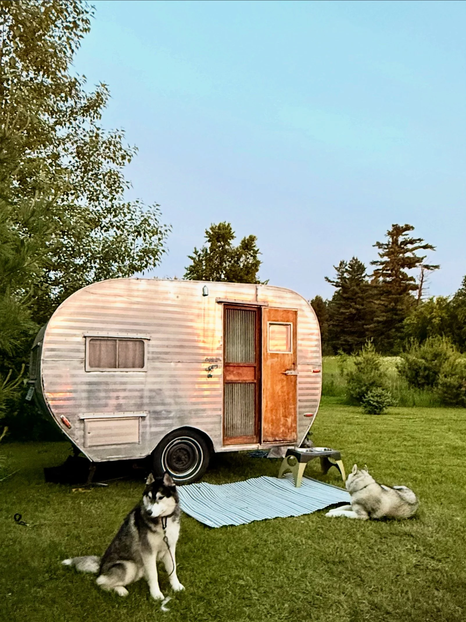 Finding Flow in the Woods