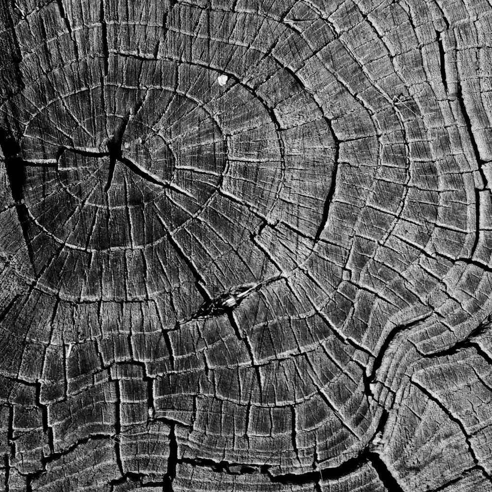 The Myth of Overnight Success