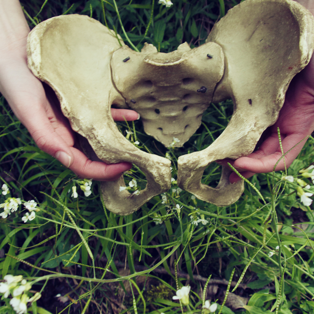 Bones &amp; Bloom: Our Creative Philosophy