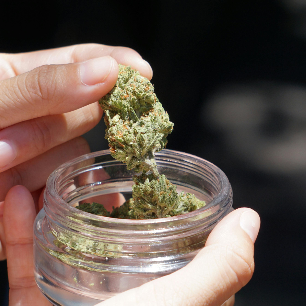 5 Cannabis Dispensary Marketing Strategies to Grow Your Brand