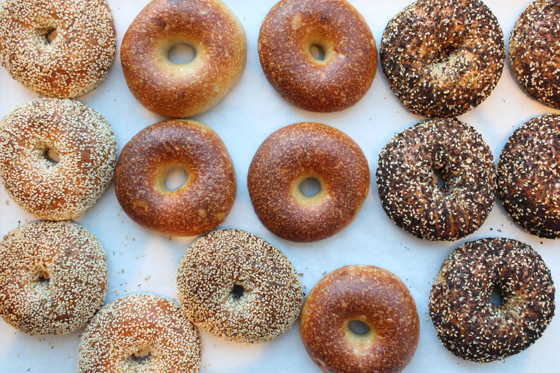 A variety of bagels with different toppings, including sesame seeds, poppy seeds, and other seeds, arranged on a light-colored surface.