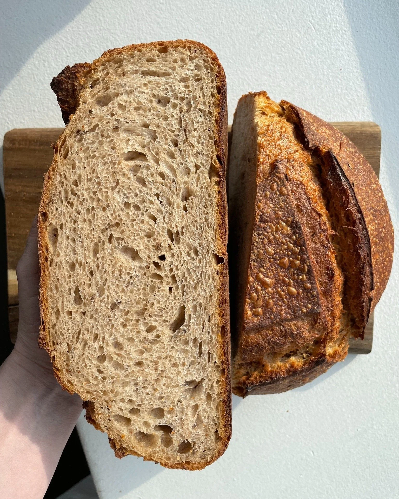 September&rsquo;s Bread of the Month: Deli Rye!

Inspired by the classic deli rye loaves we all know and love, this month&rsquo;s special is made with freshly milled rye, caraway seeds, barley malt, and our signature sourdough starter. The result is 