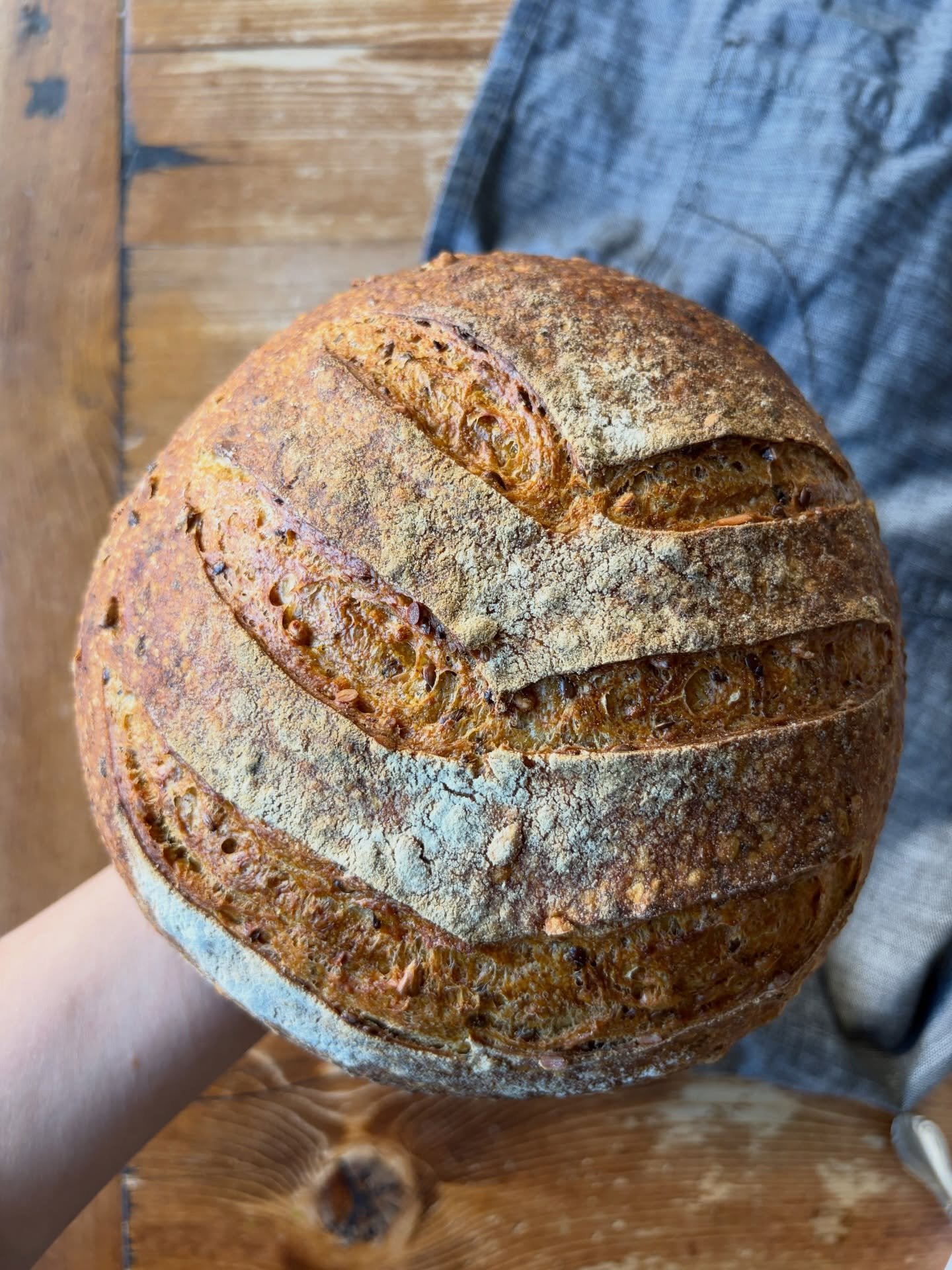 Fully embracing pumpkin season with our seeded pumpkin sourdough with toasted flax and sunflower seeds in every slice, and just enough spice to keep things interesting. 

Toast it, butter it, repeat. Available for a limited time at all locations!