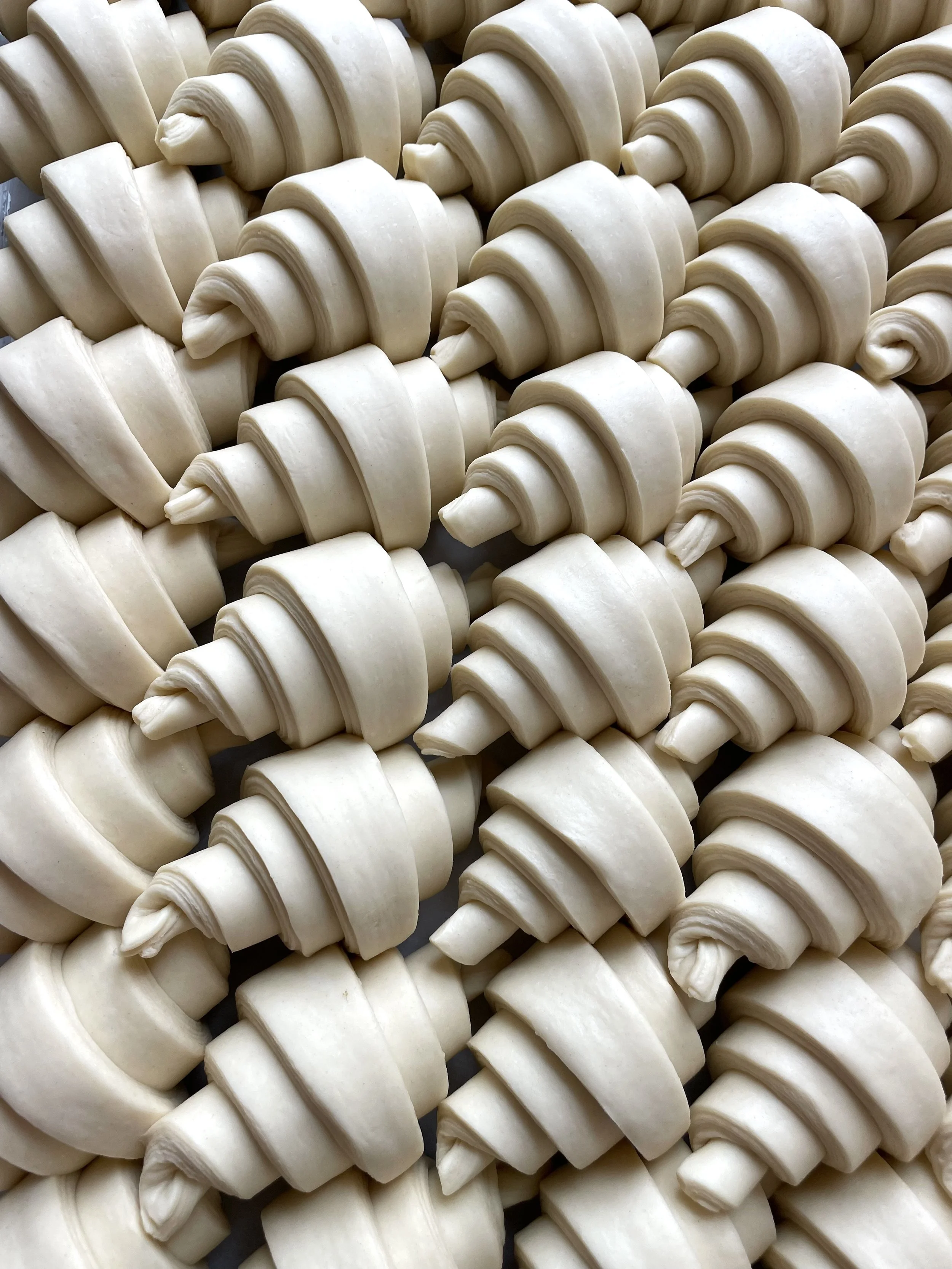 Uncooked croissants arranged in rows.