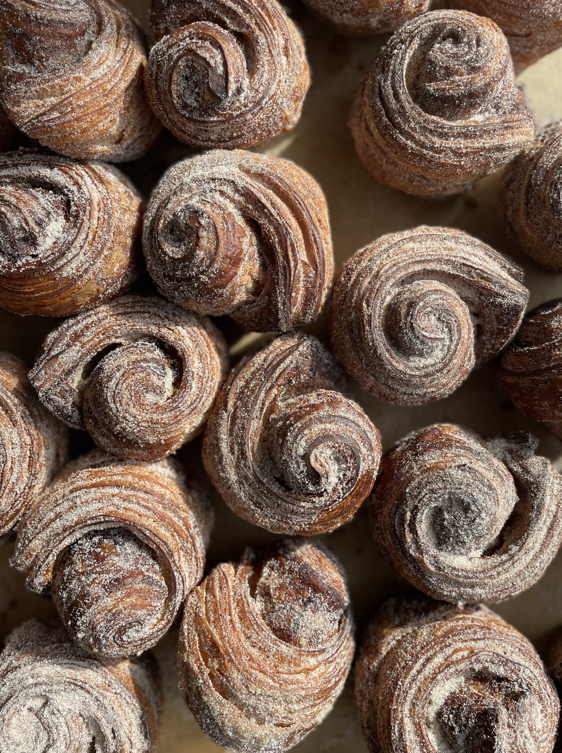 Close-up of cinnamon rolls with a dusting of sugar.