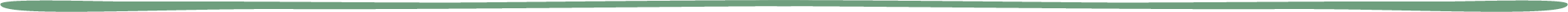 A dark green divider line