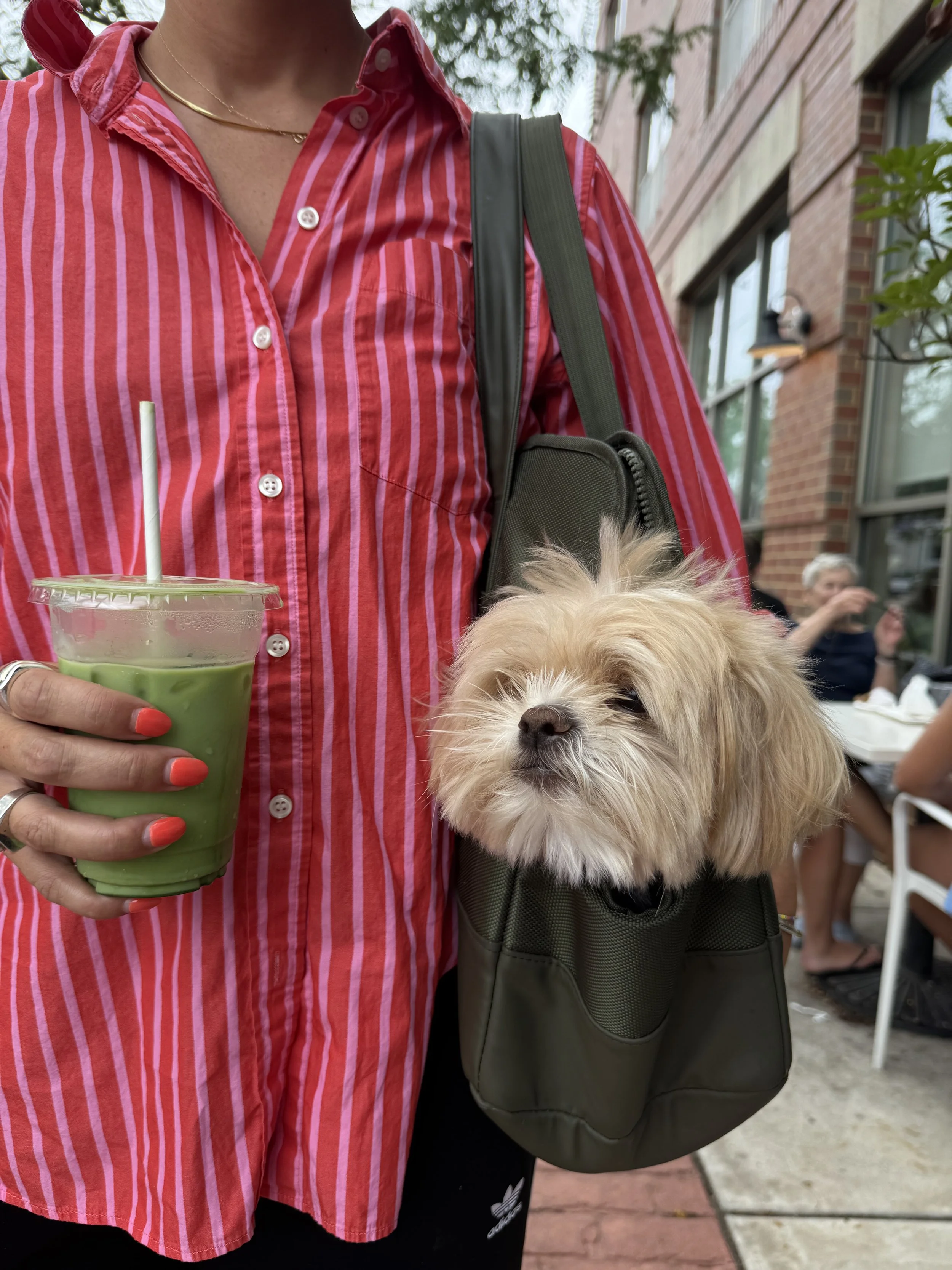 A woman holding a green iced drink in a clear plastic cup with a straw, wearing a red and pink striped button-down shirt, and a small fluffy dog in a gray pouch on her side, outside on a city sidewalk with other people in the background.