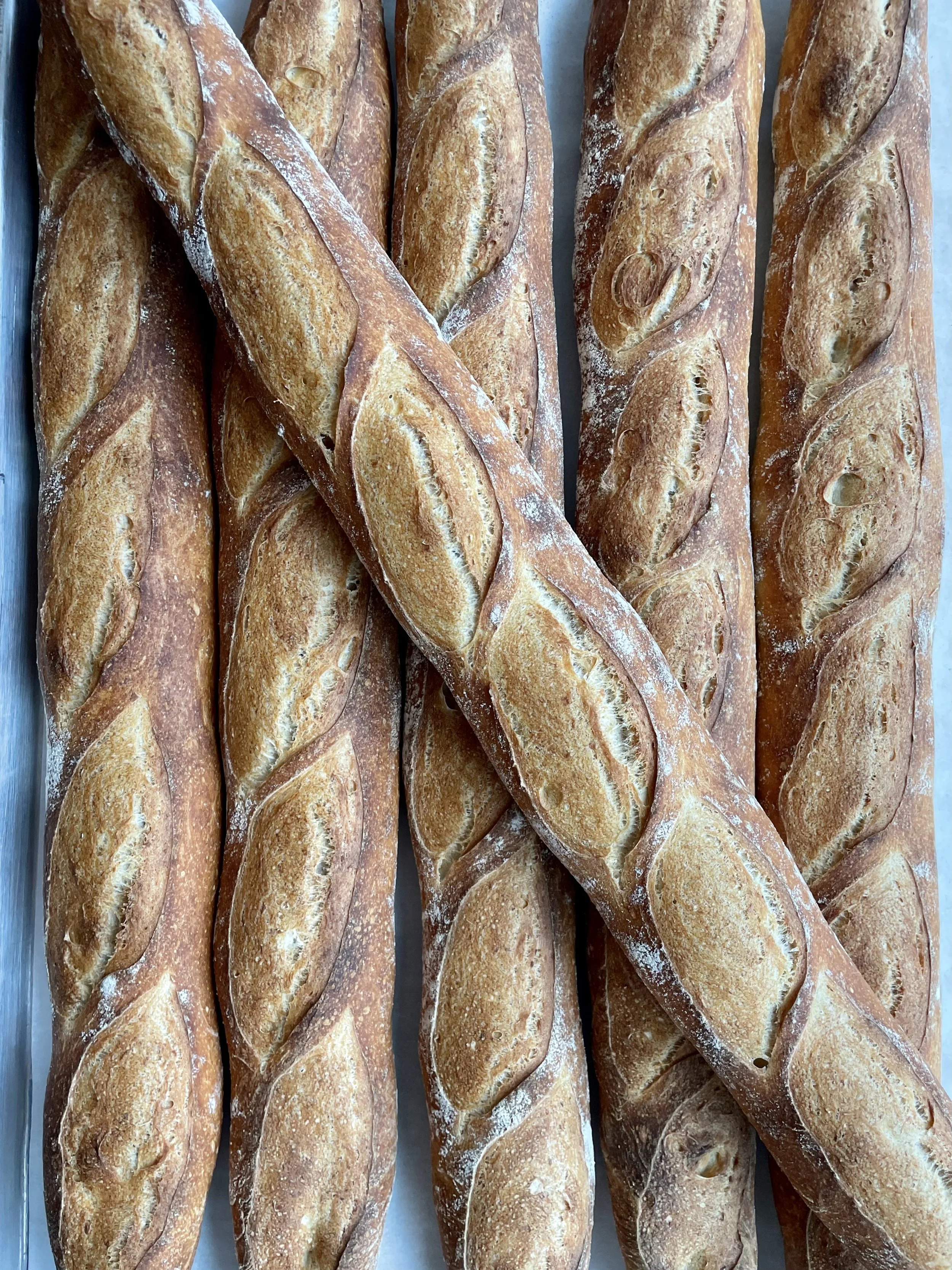 Several long baguette loaves of bread with slashed tops, arranged in a row on a baking tray.