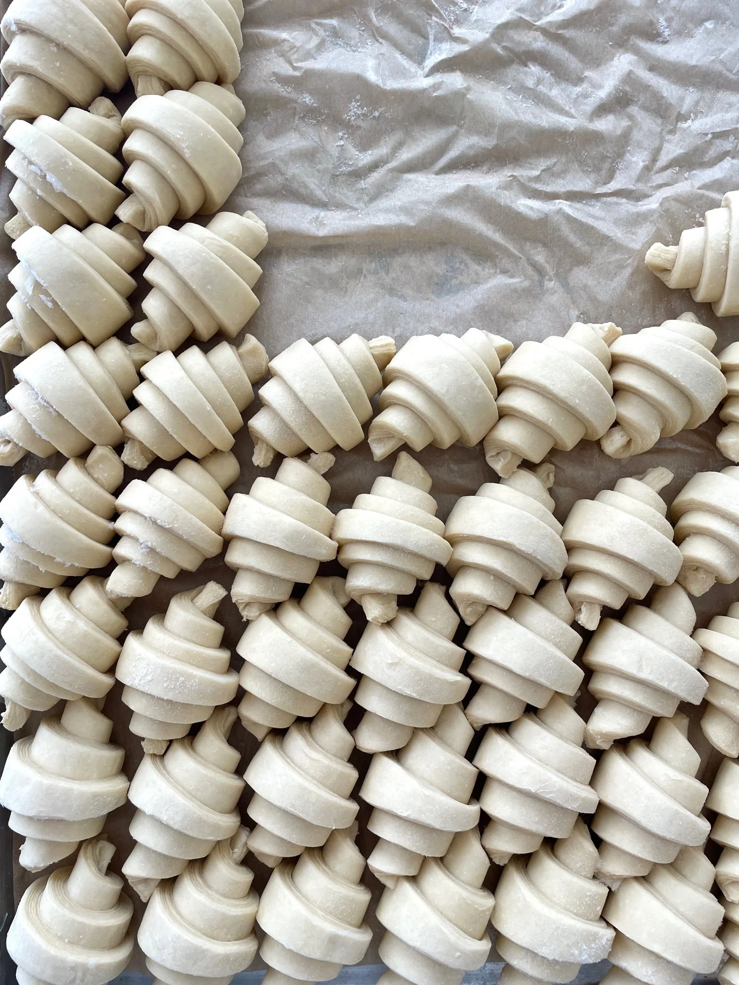 Uncooked croissants arranged on parchment paper