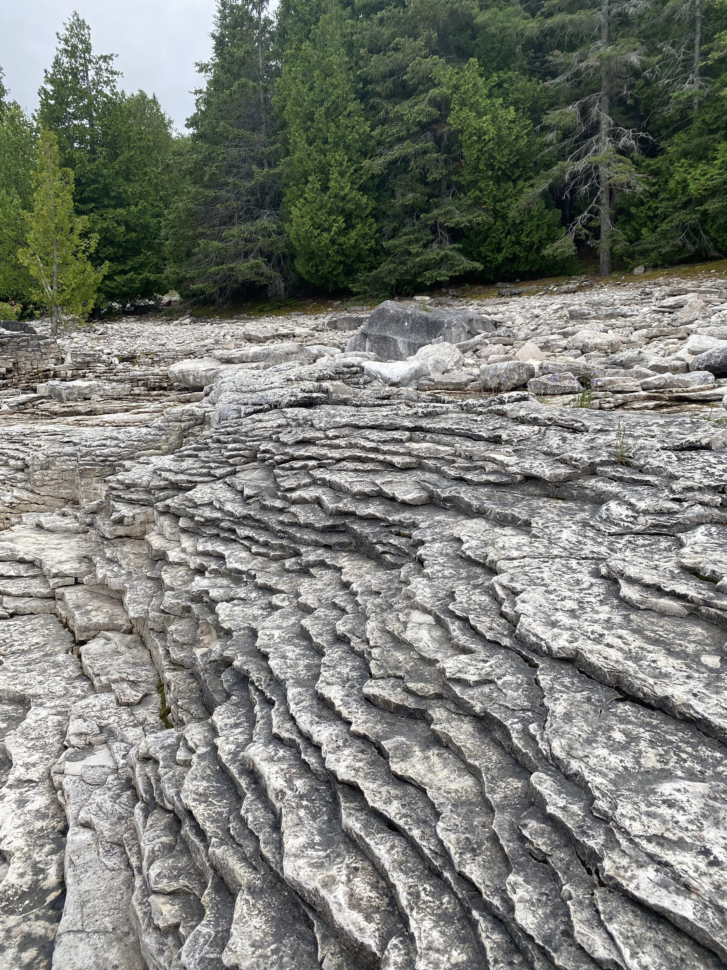 Formation rocheuse entourée d'arbres verts dans une forêt
