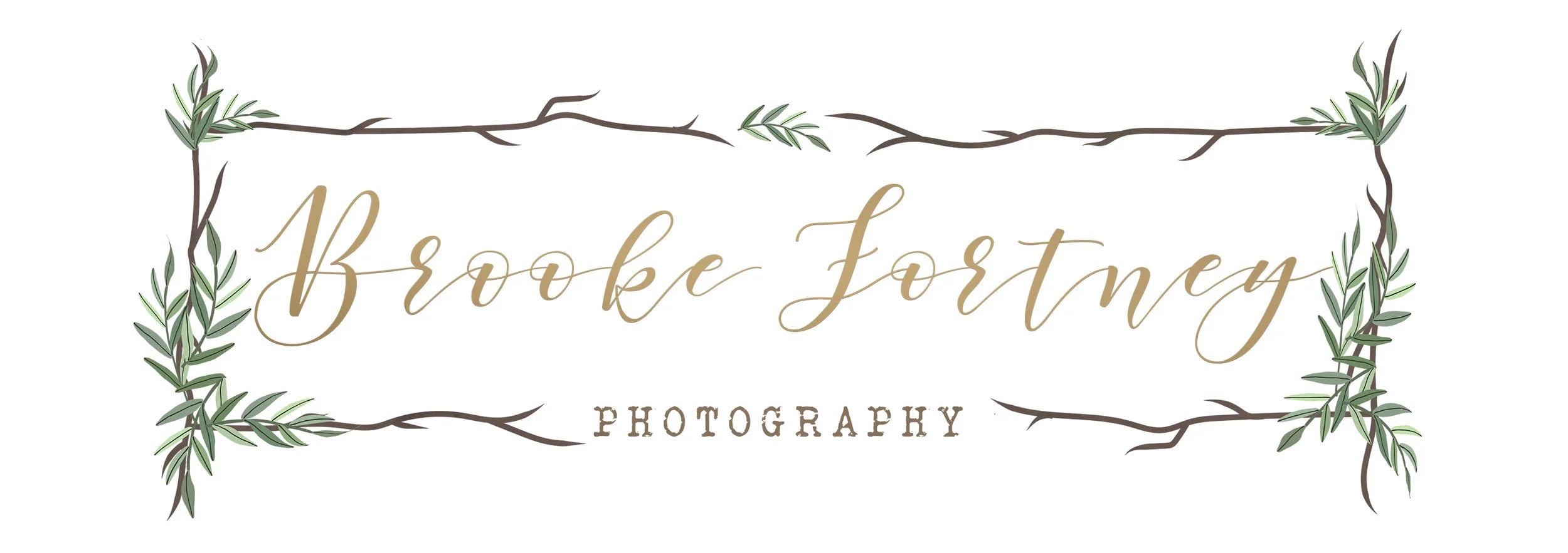 Elegant logo for Brooke Jorrey Photography featuring script text surrounded by illustrated branches and leaves.