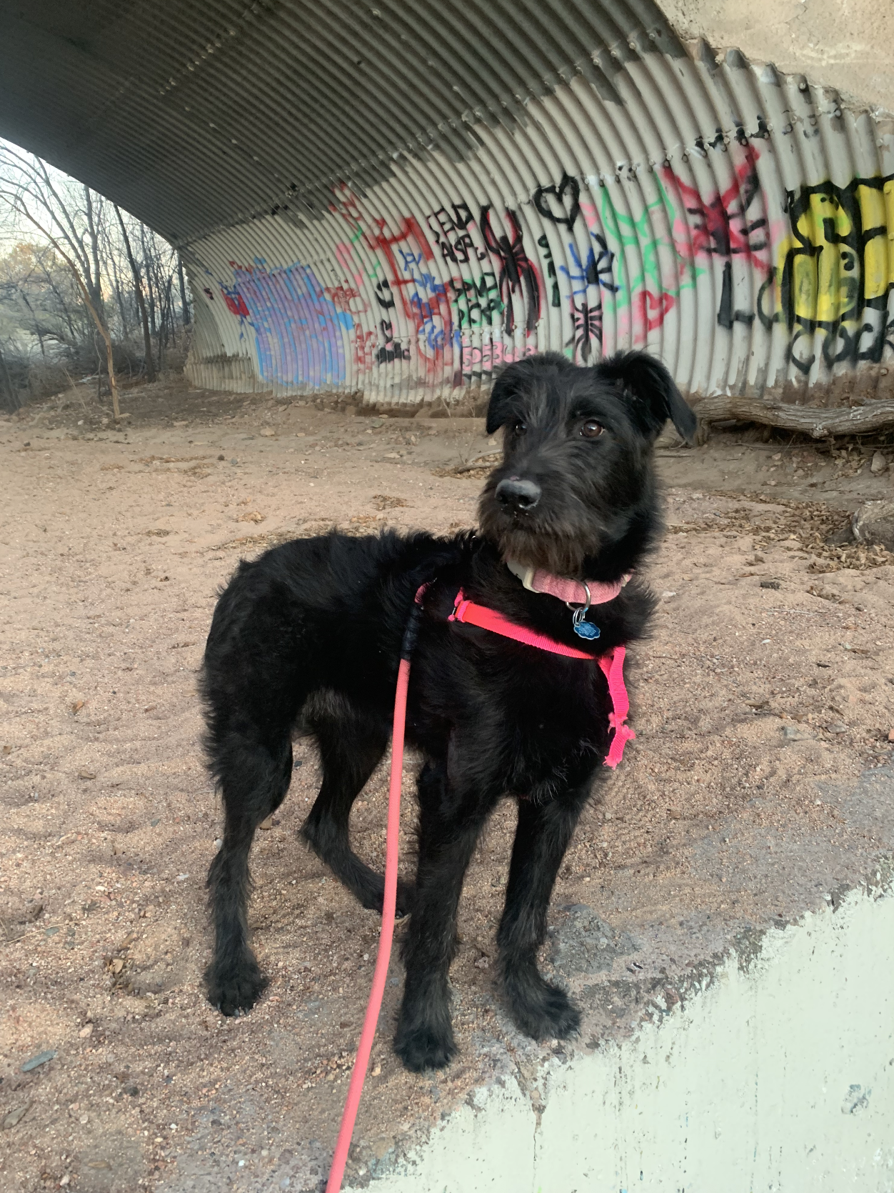 Screenshot 2026-02-27 at 6.47.53 PM.png