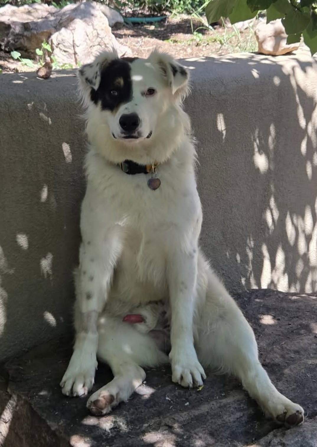 Screenshot 2025-10-30 at 2.15.04 PM.png